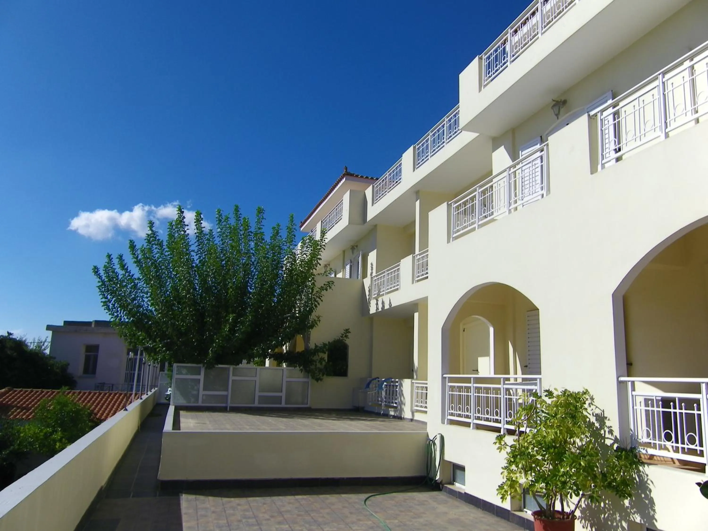 Pets in Hotel Filioppi