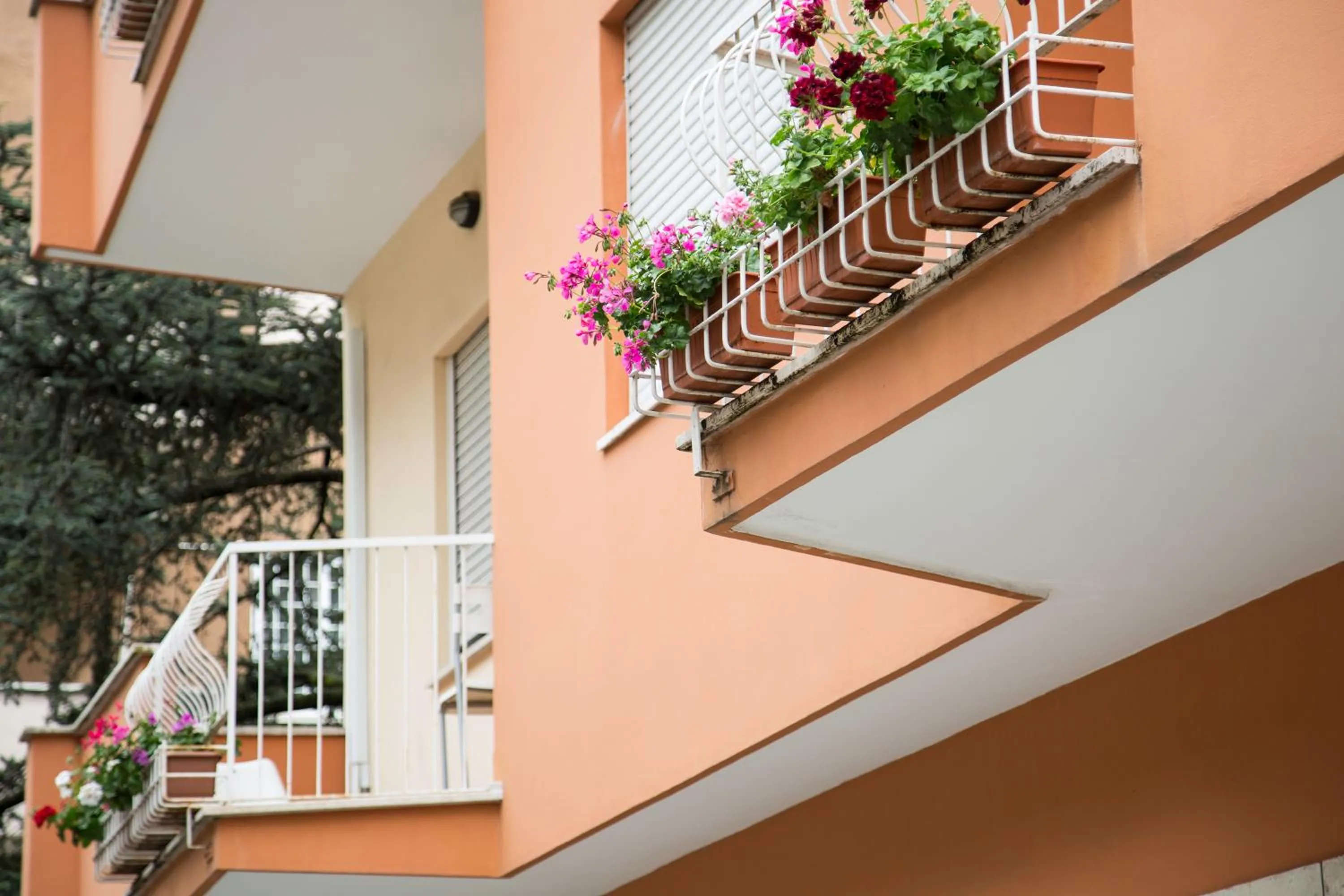 Facade/entrance in Roma Talenti Breme B&B