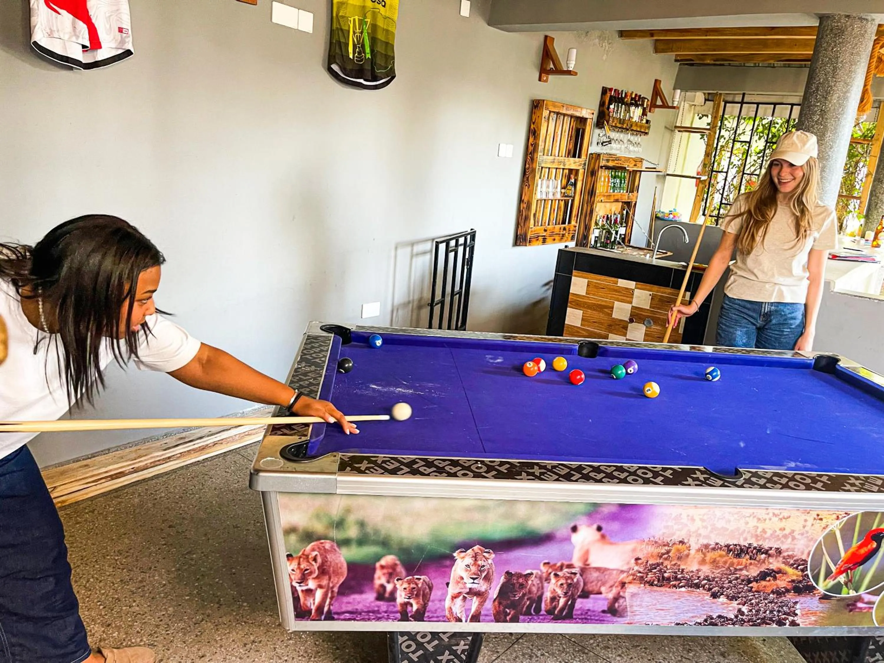 Billiard in Home Villa Eco Boutique