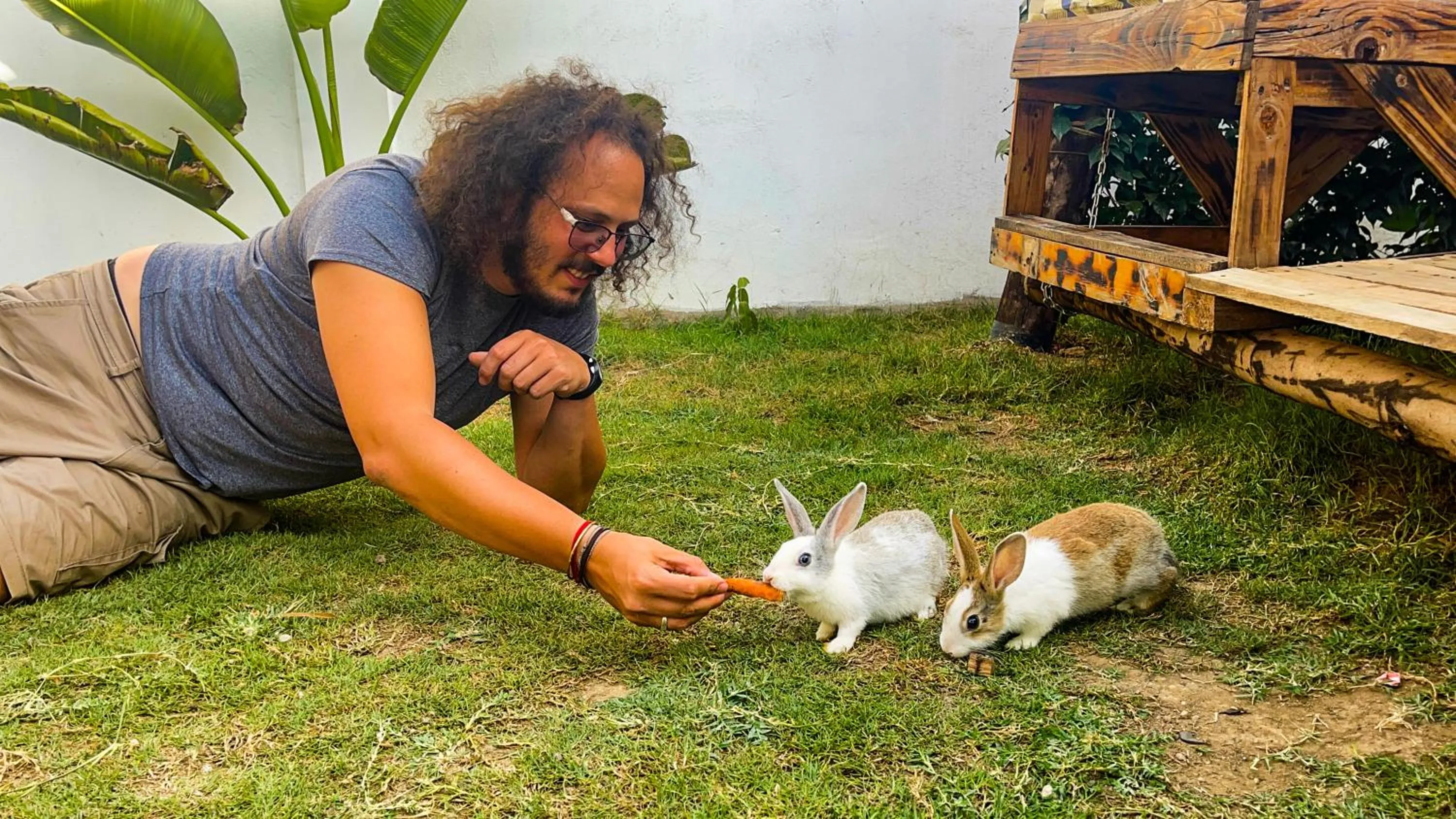 Pets in Home Villa Eco Boutique