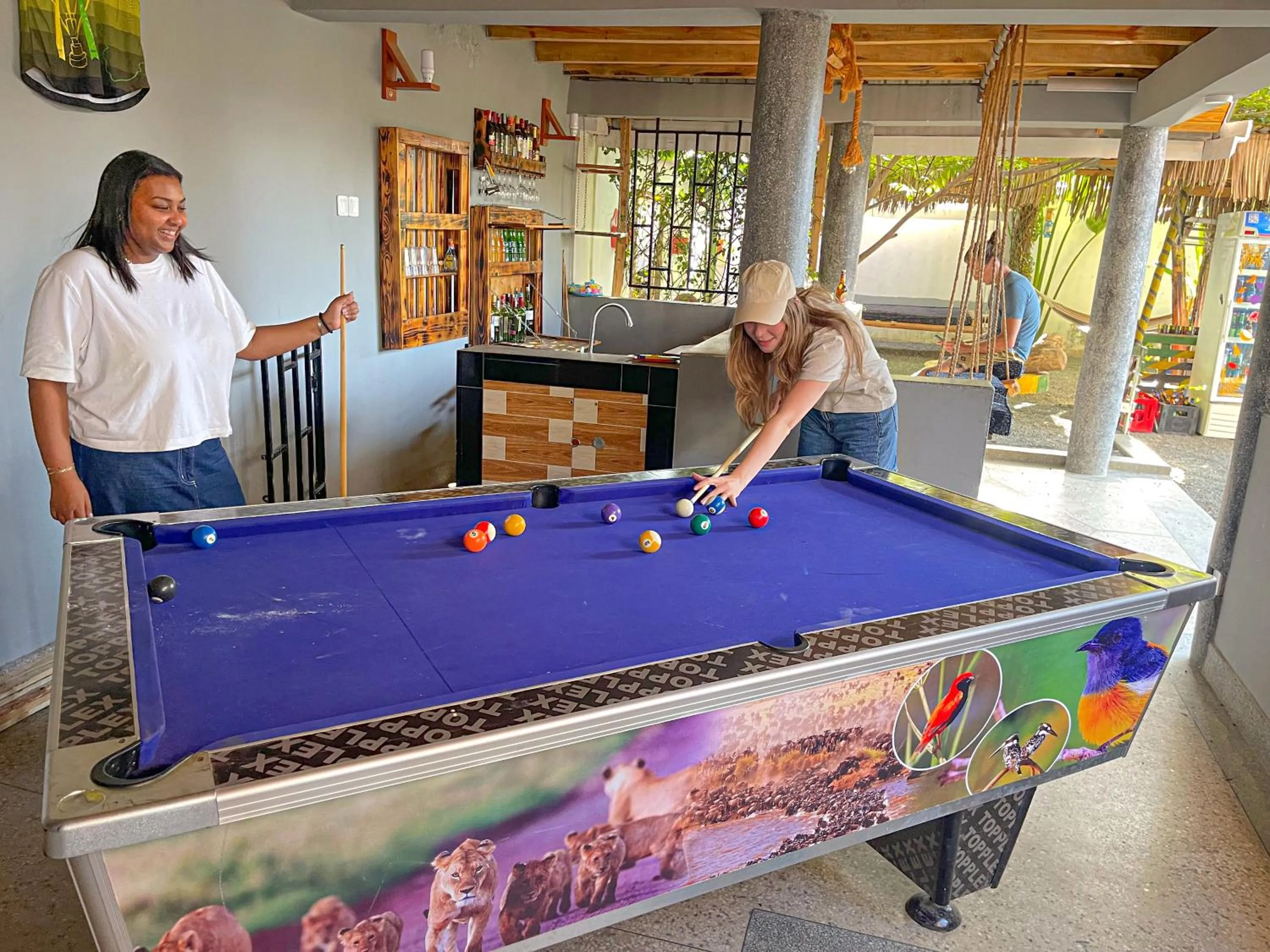 Billiard in Home Villa Eco Boutique