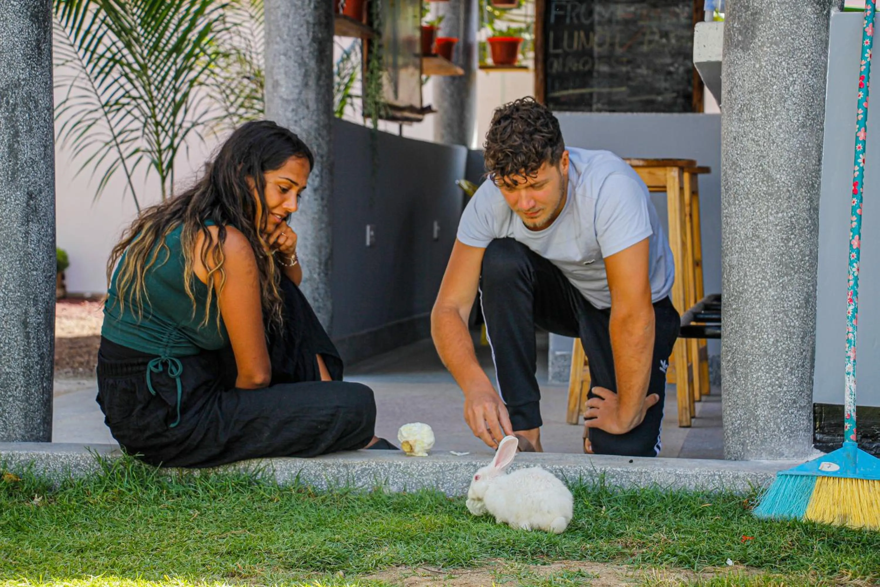 Pets in Home Villa Eco Boutique