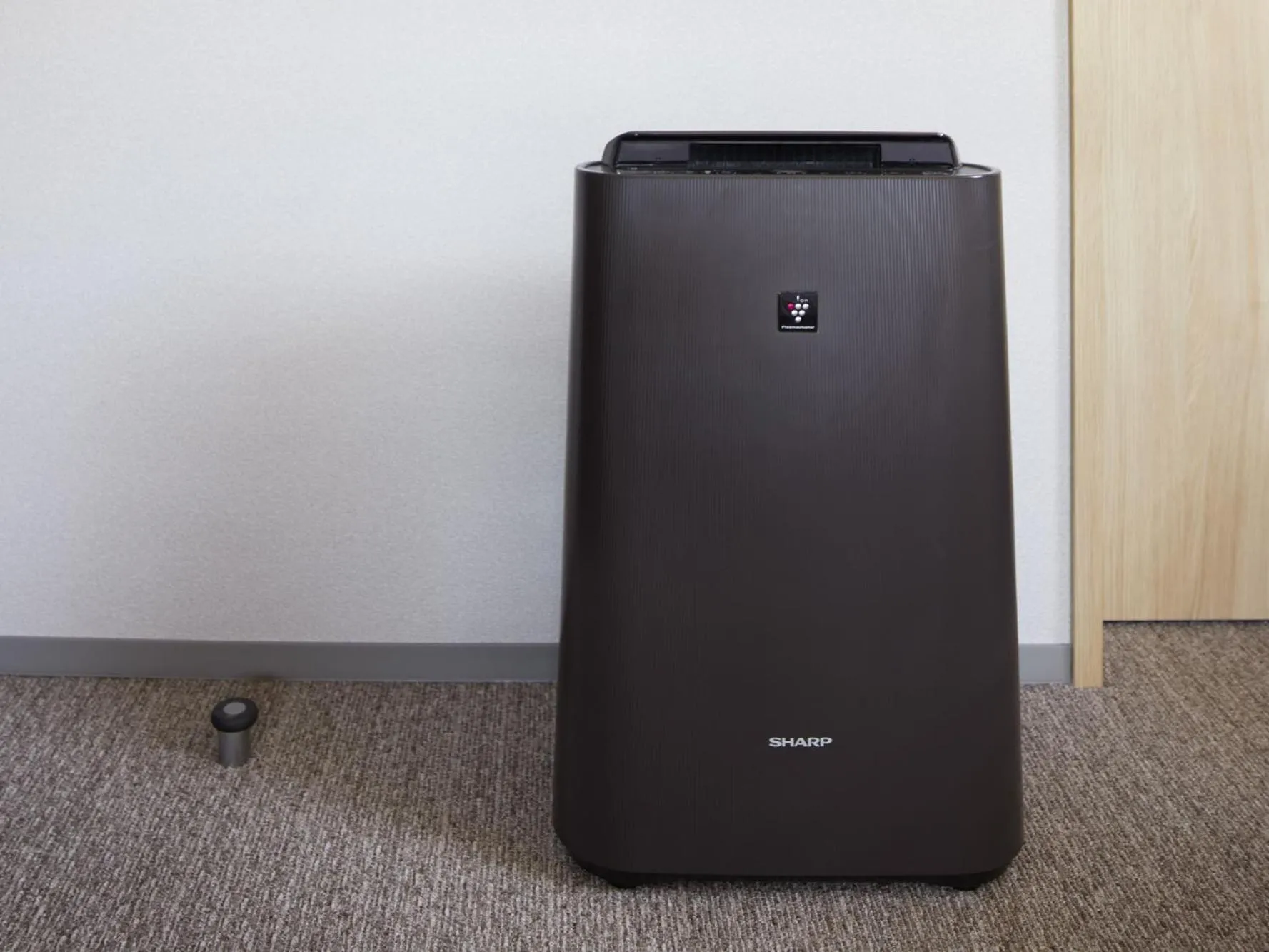 Other in LAMP LIGHT BOOKS HOTEL sapporo