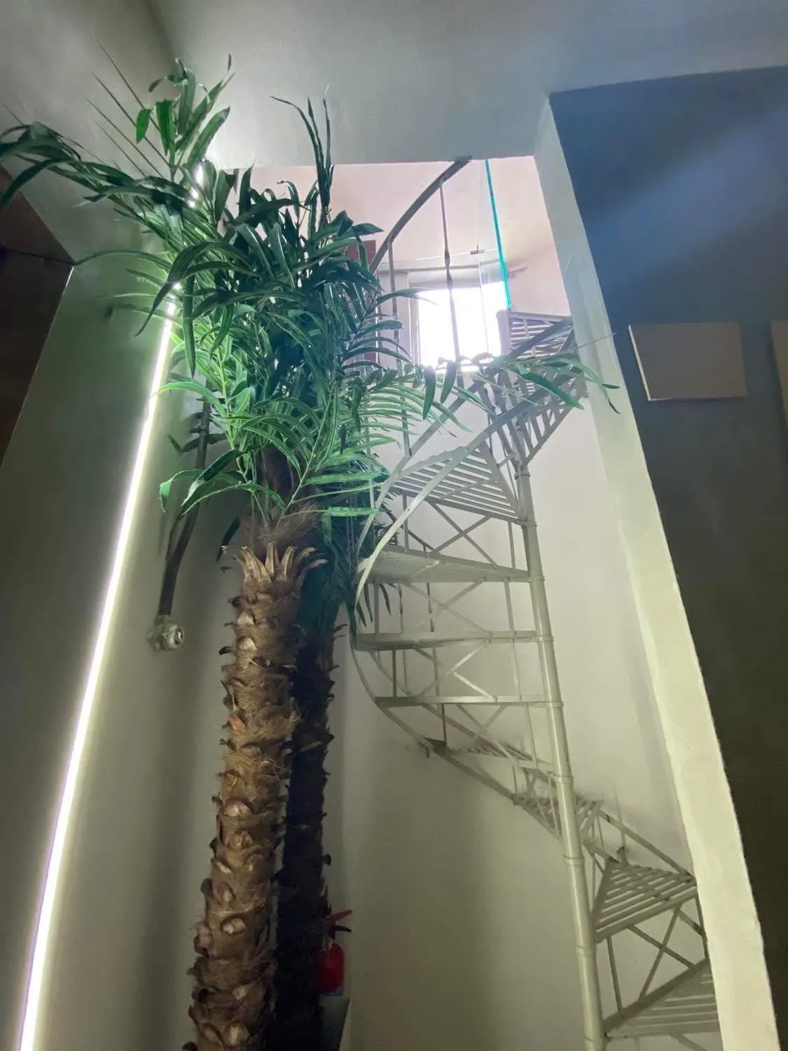 Restaurant/places to eat in Athens Warehouse Boutique Hotel & Suites