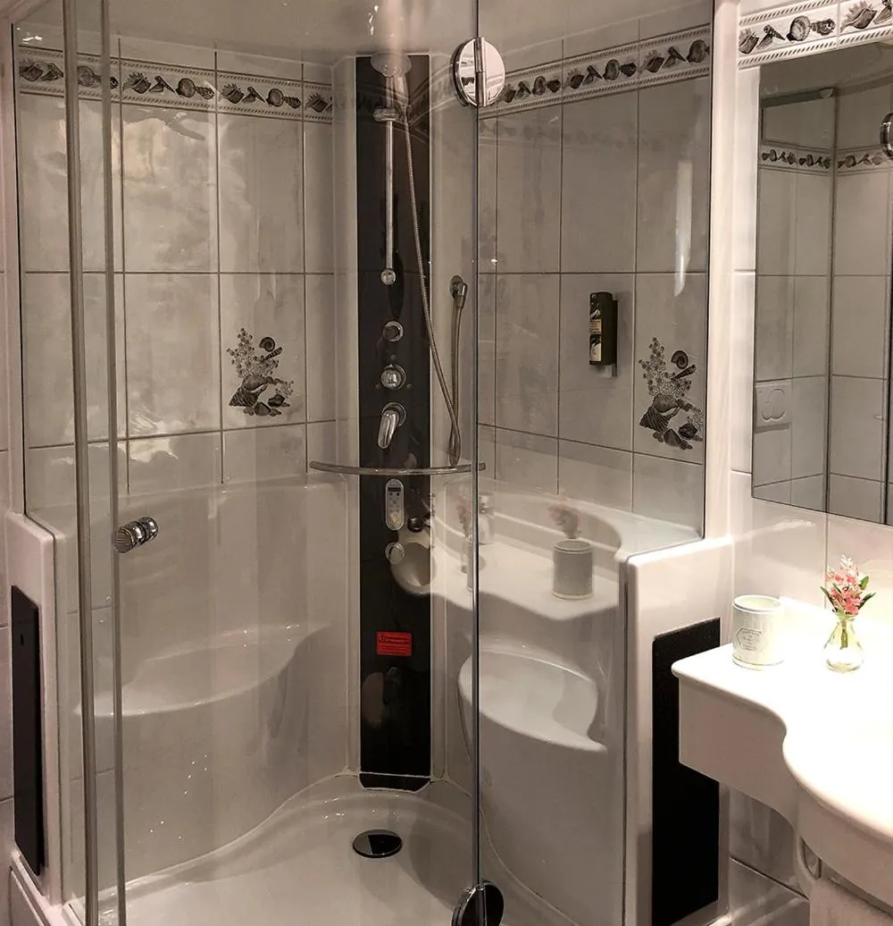 Shower in Hotel Eberbacher Hof