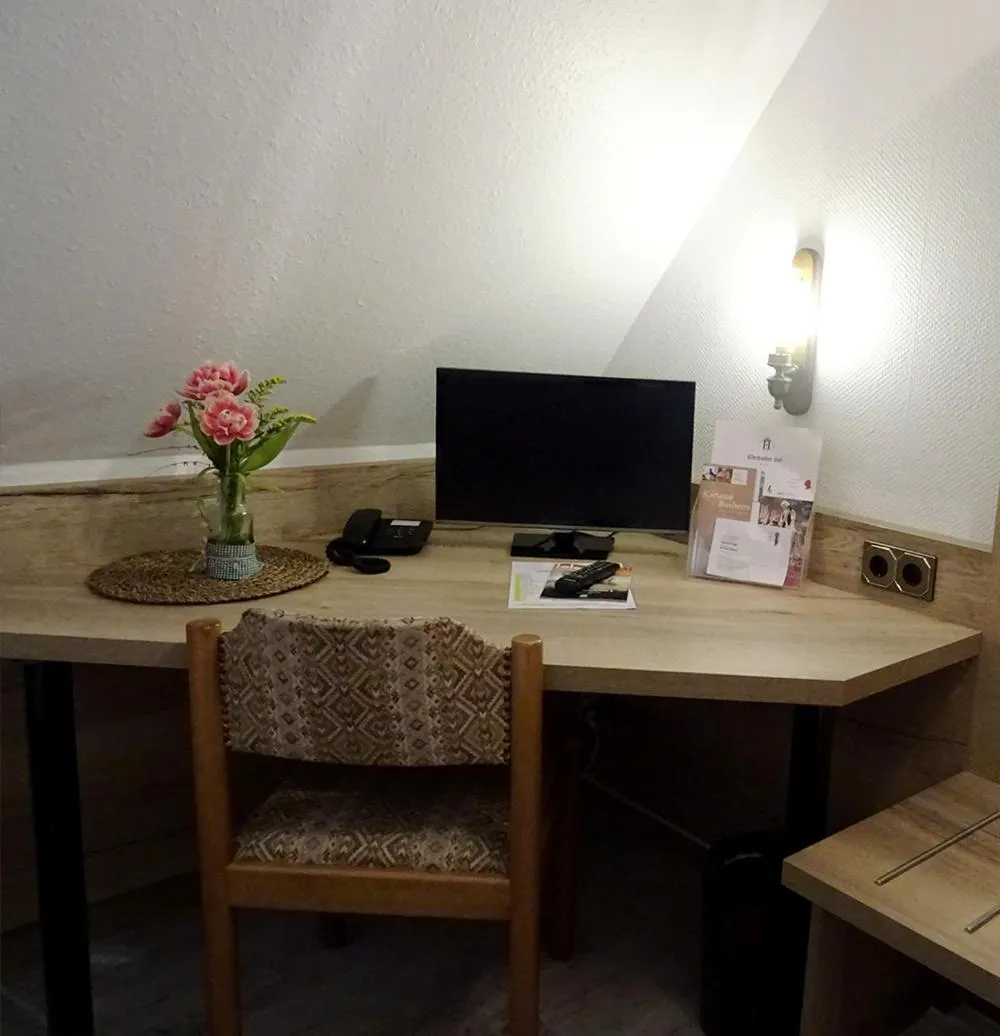 TV and multimedia in Hotel Eberbacher Hof