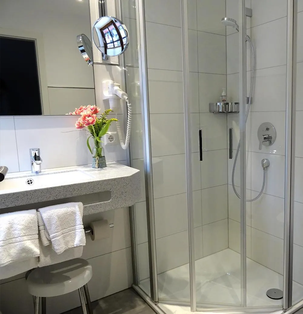 Shower in Hotel Eberbacher Hof