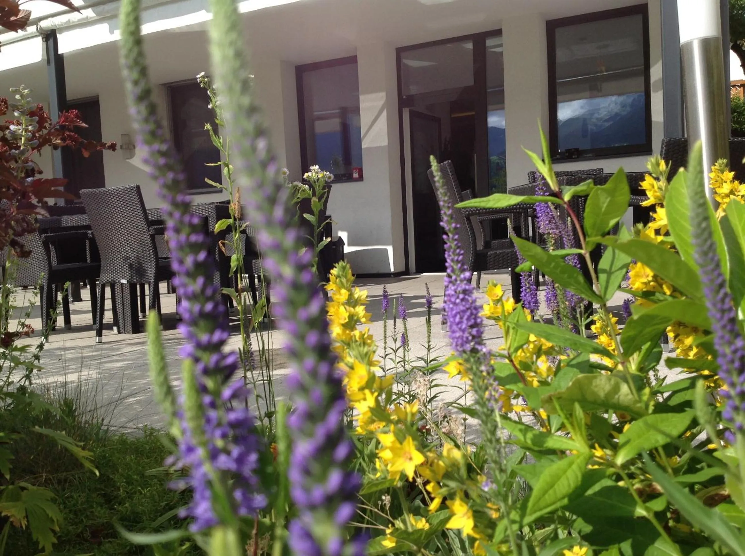 Spring in Residence Bar Pizzeria Sylvanerhof