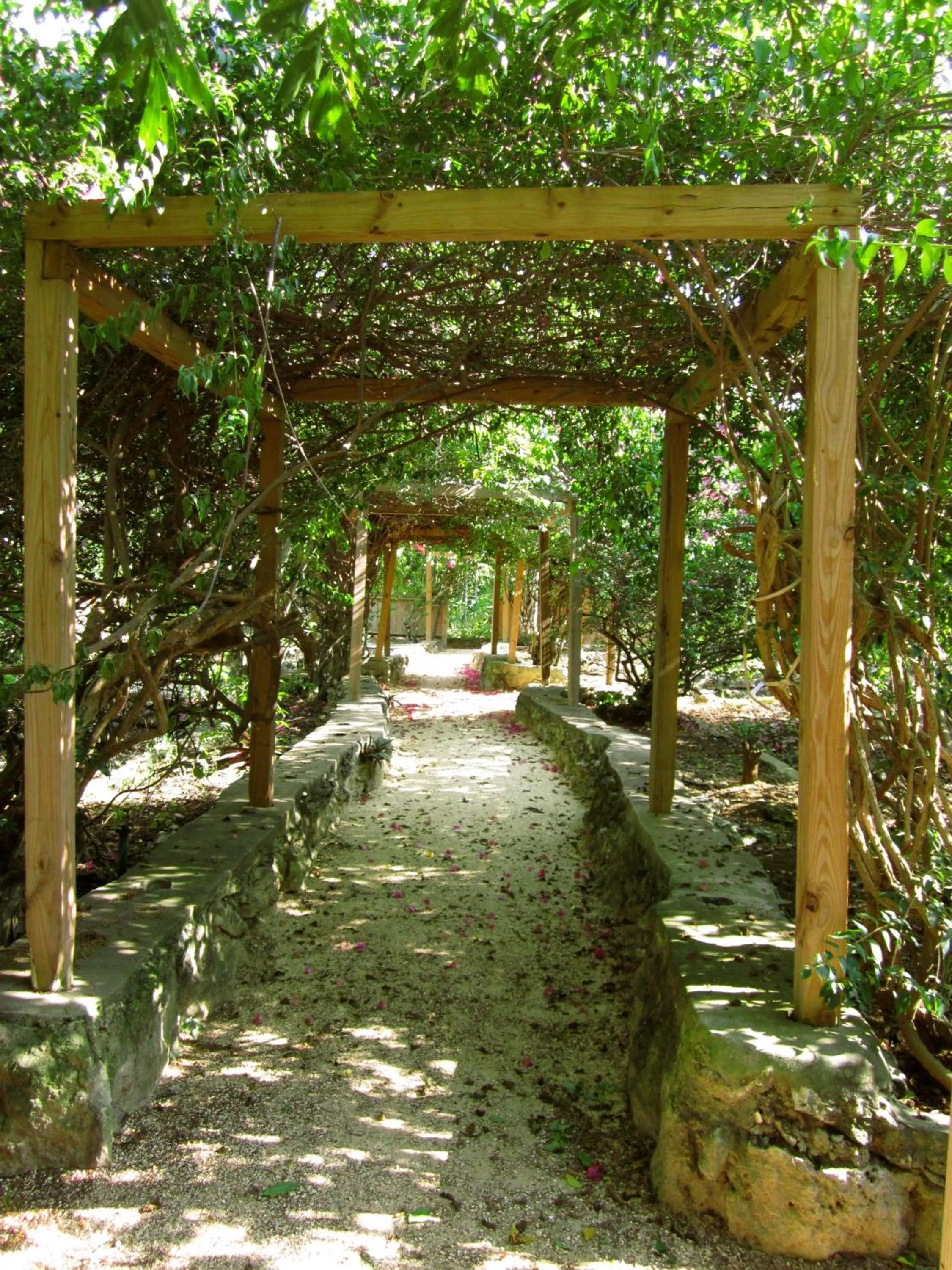 Garden in Tingalaya's Retreat
