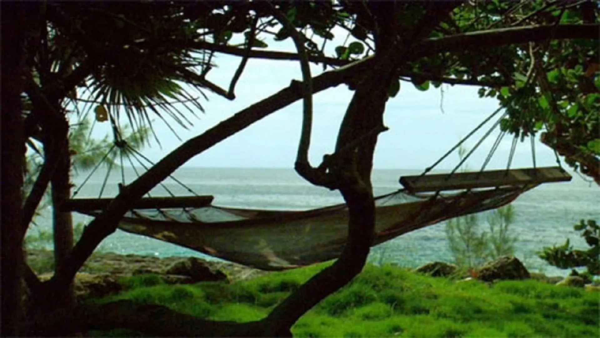 Other in Tingalaya's Retreat