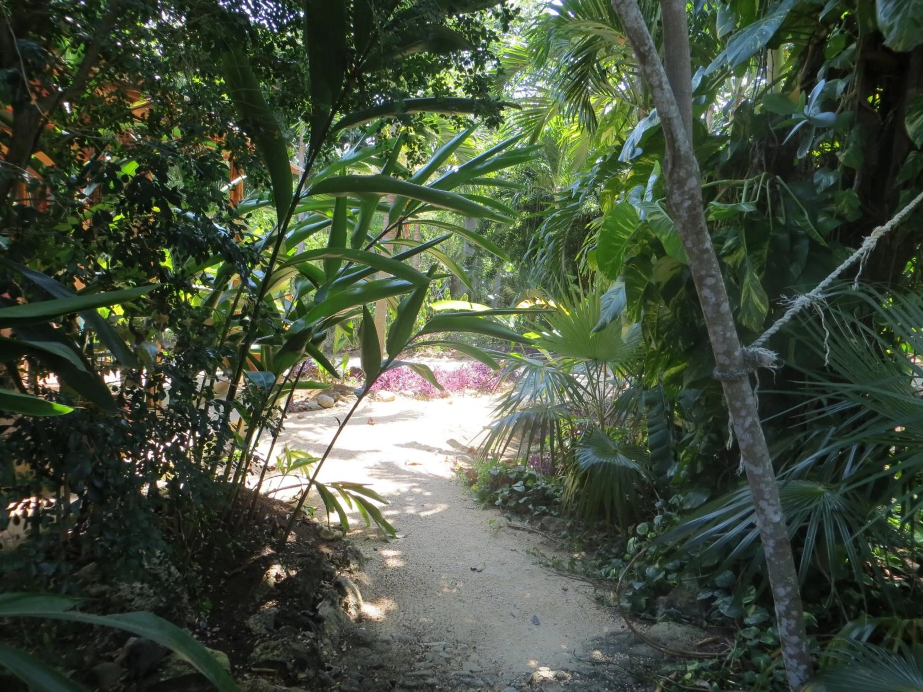 Garden in Tingalaya's Retreat