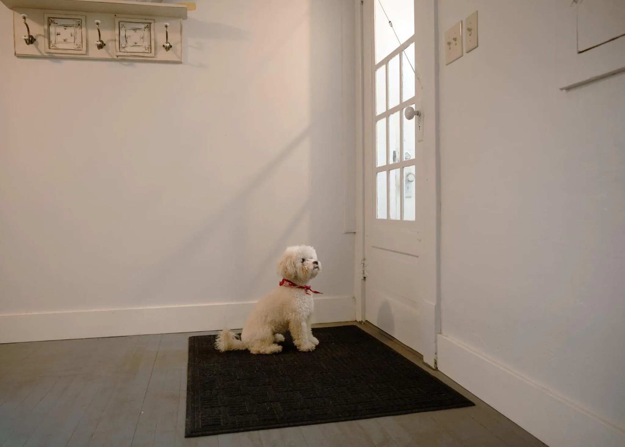 Pets in East Side Motel & Cabins