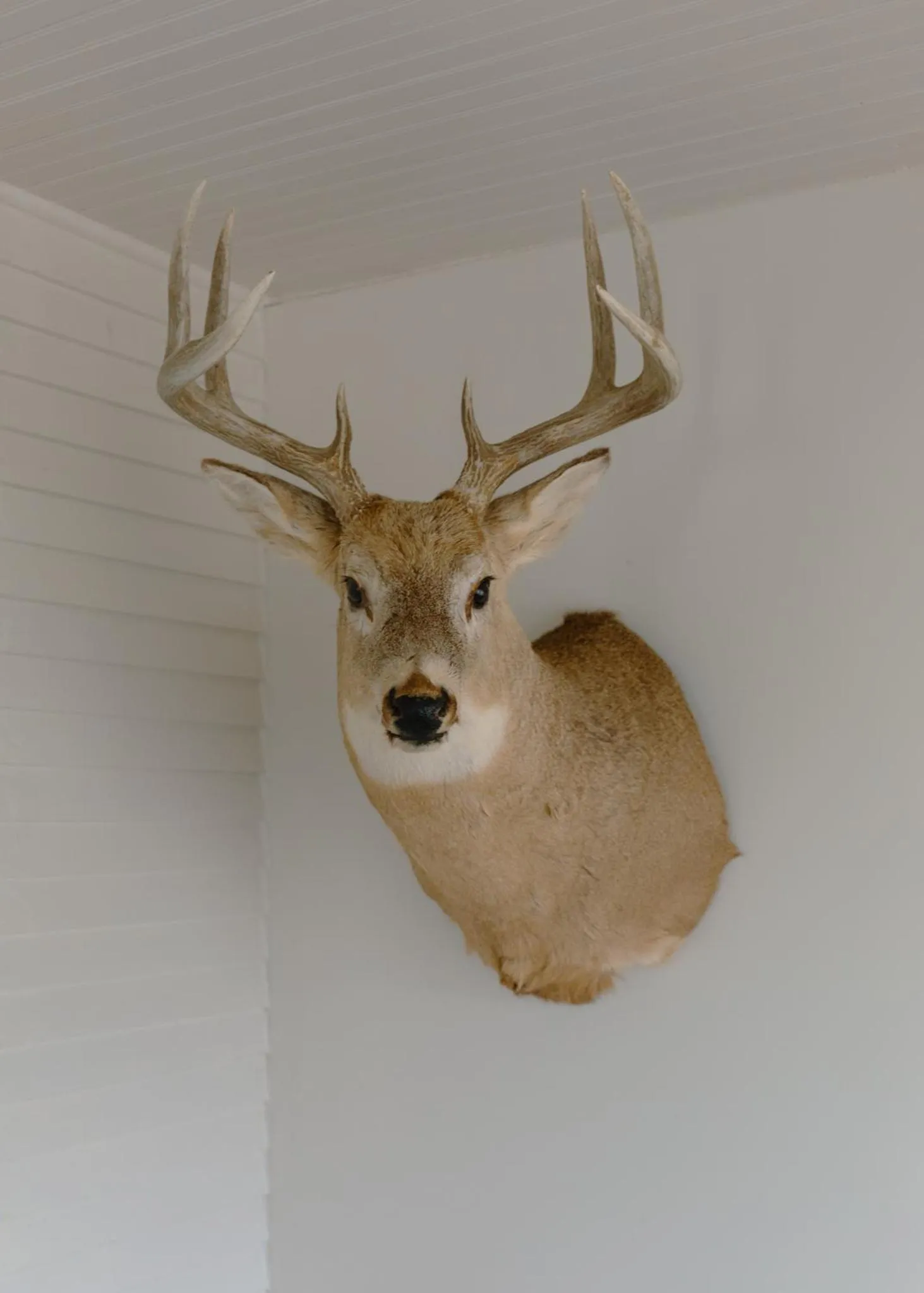 Decorative detail in East Side Motel & Cabins