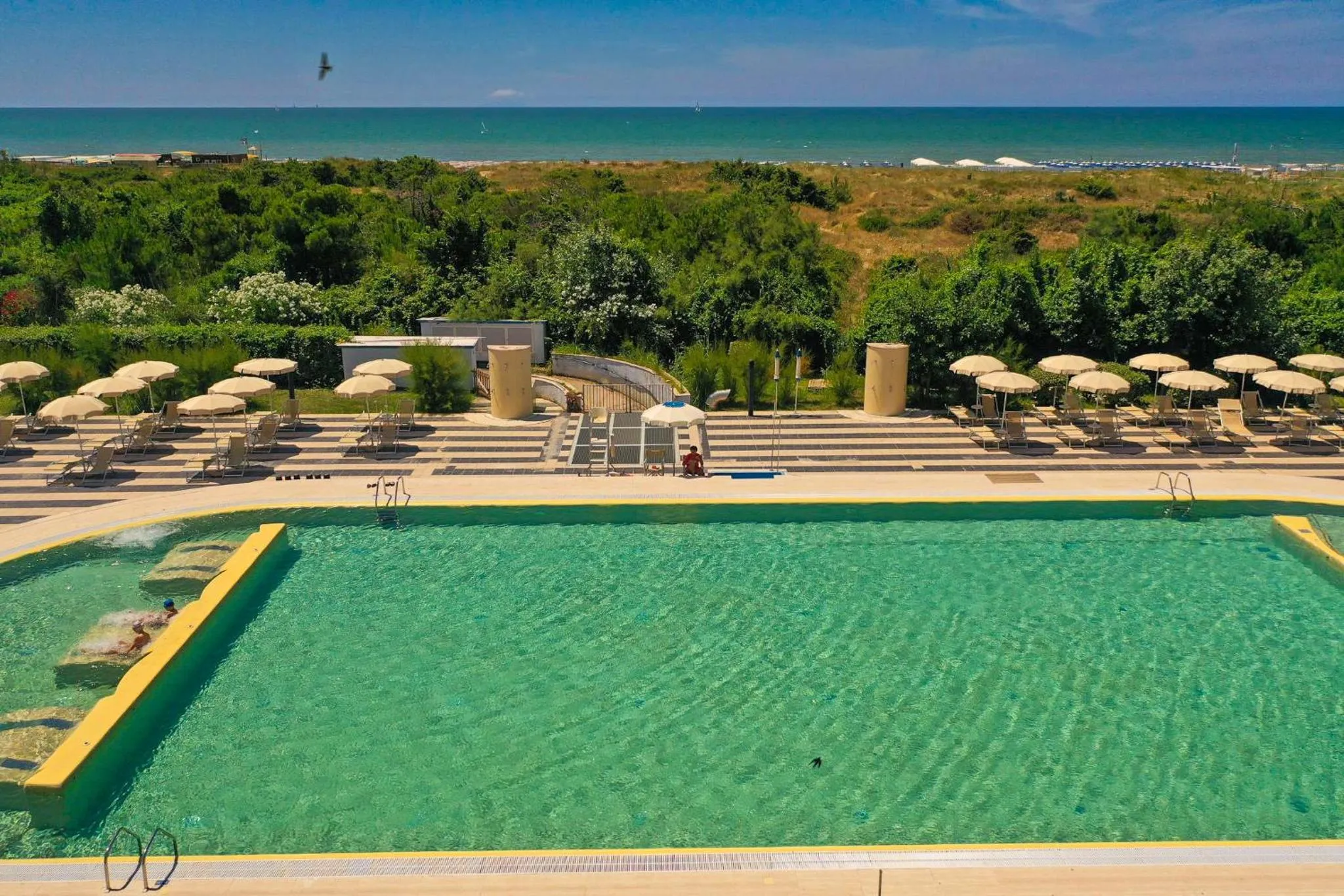 Swimming pool in Solidago Residence