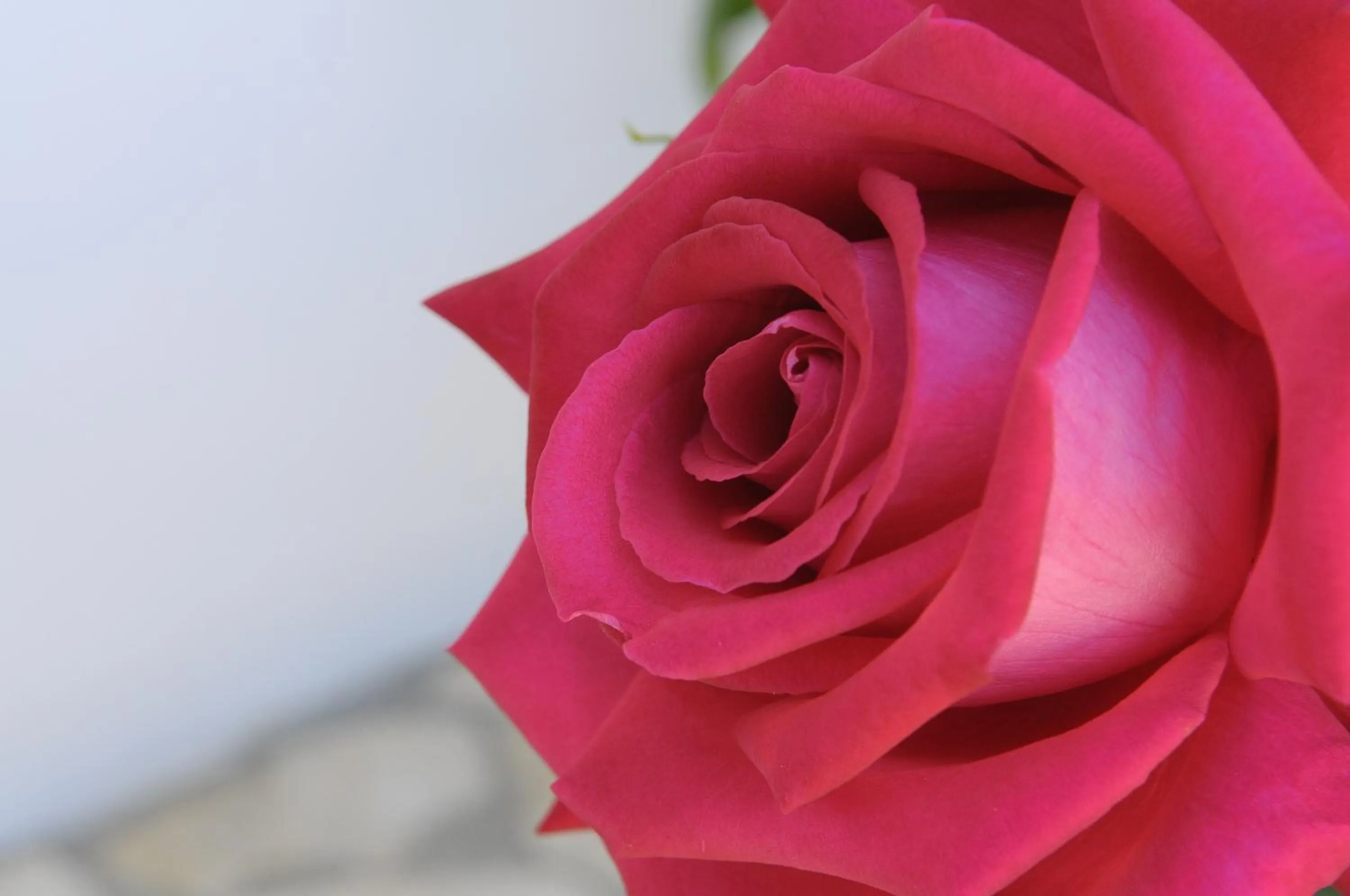 Decorative detail in Poggio di Luna Adults Only