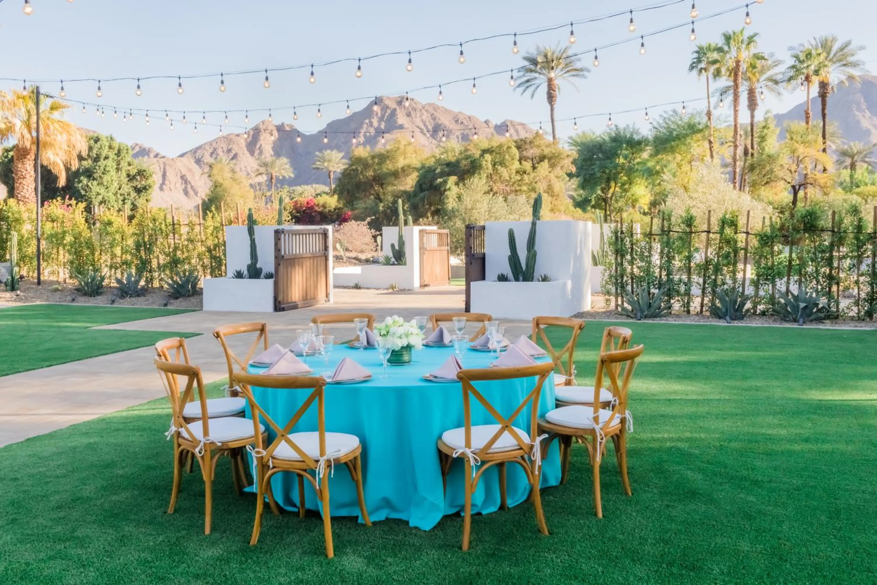 Natural landscape in Grand Hyatt Indian Wells Resort & Villas