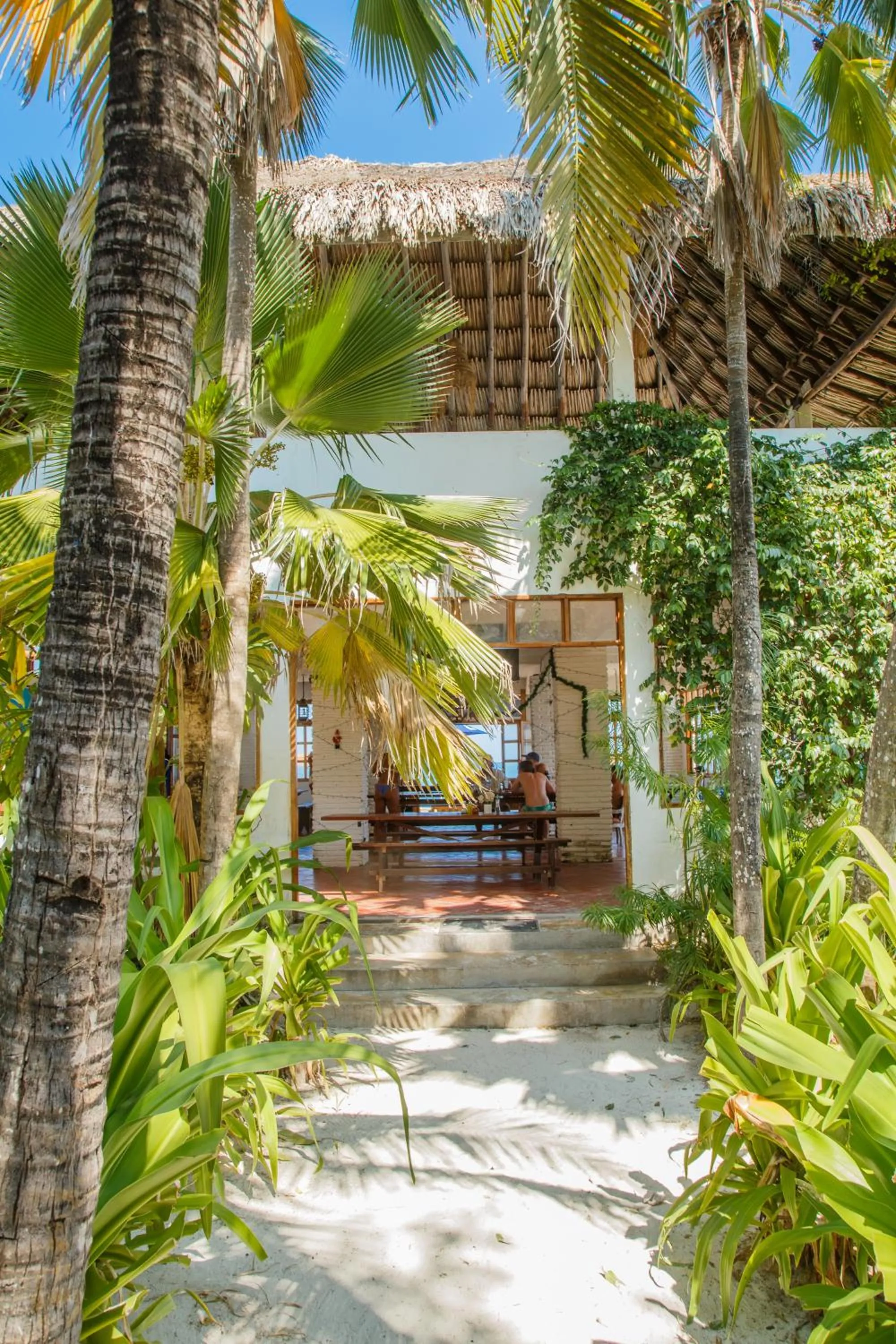 Garden in Hotel Isla Del Pirata