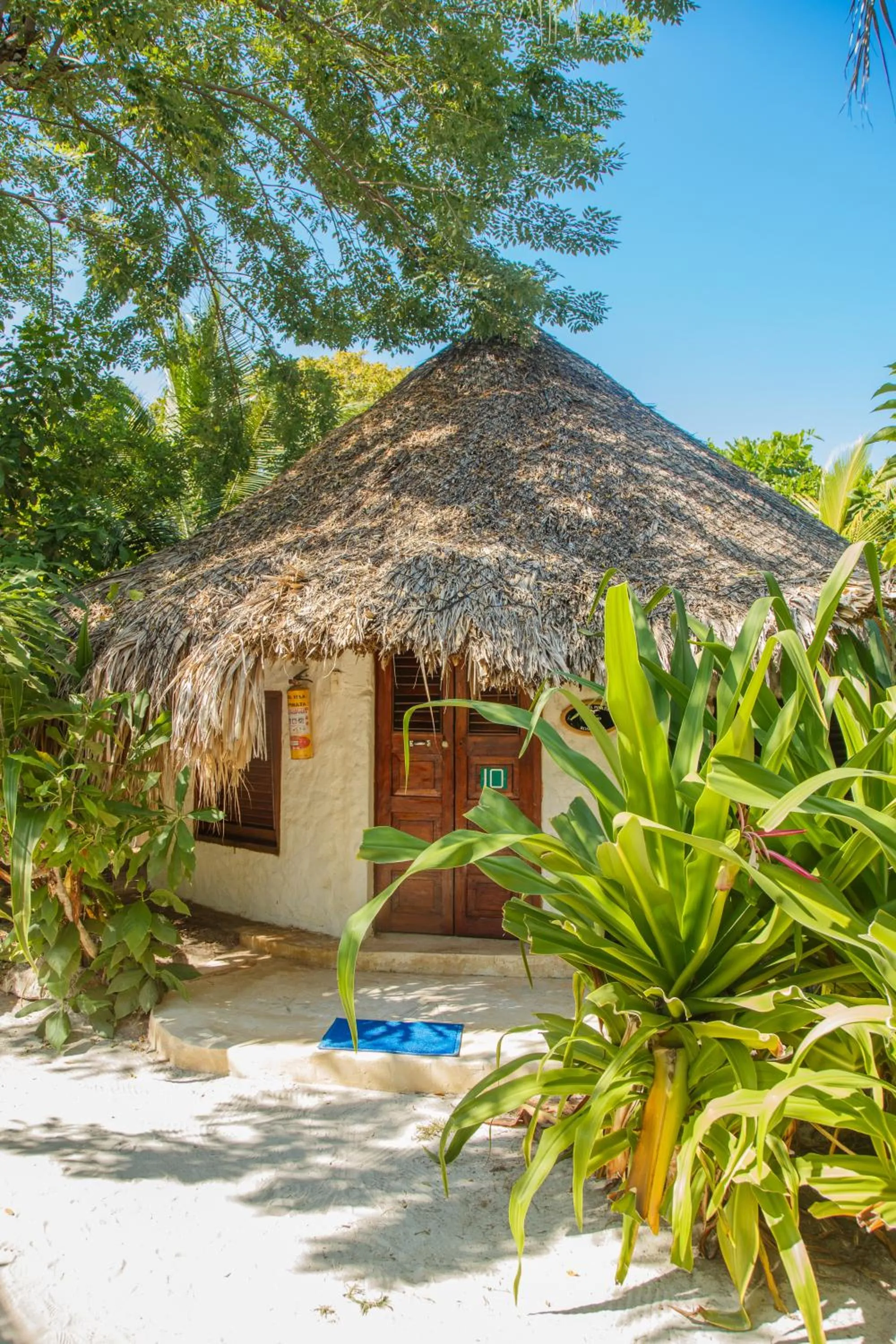 Natural landscape in Hotel Isla Del Pirata