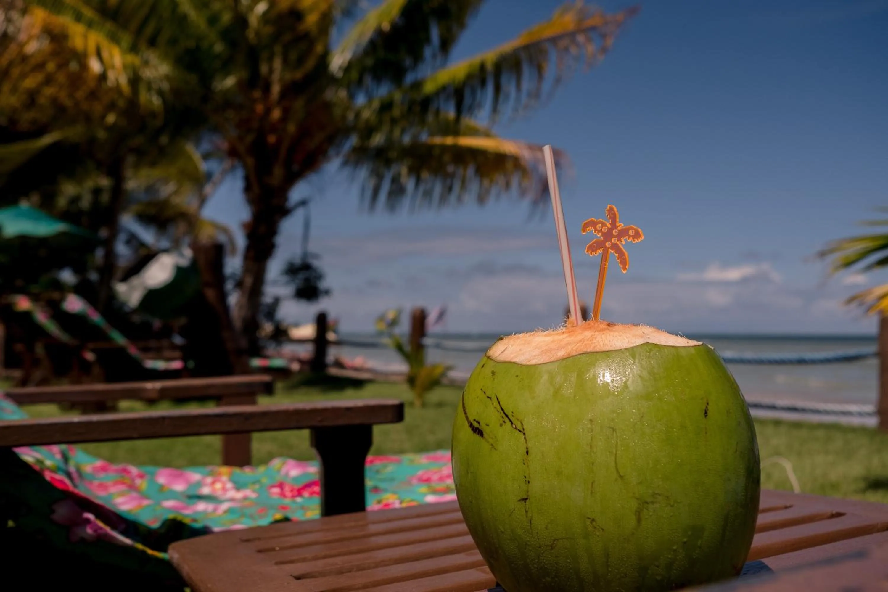 Day in Hotel Porto do Zimbo