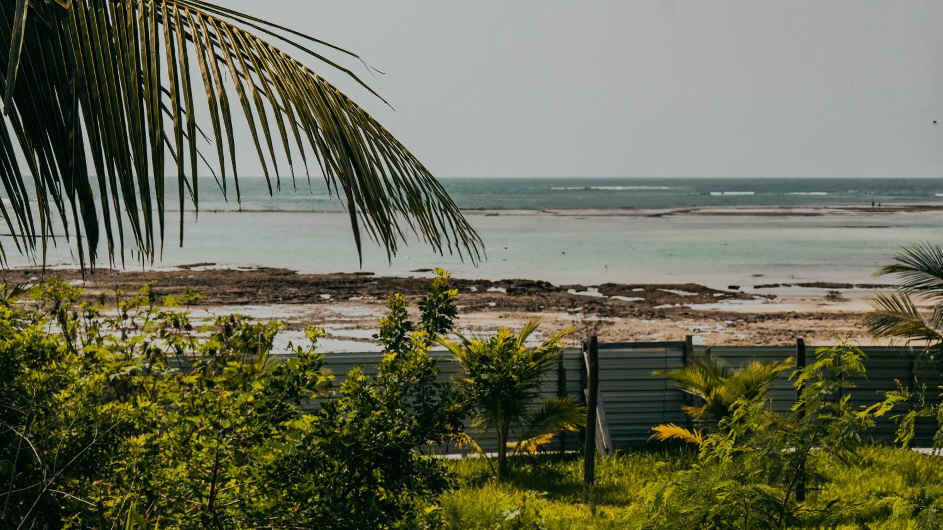 Sea view in Hotel Porto do Zimbo