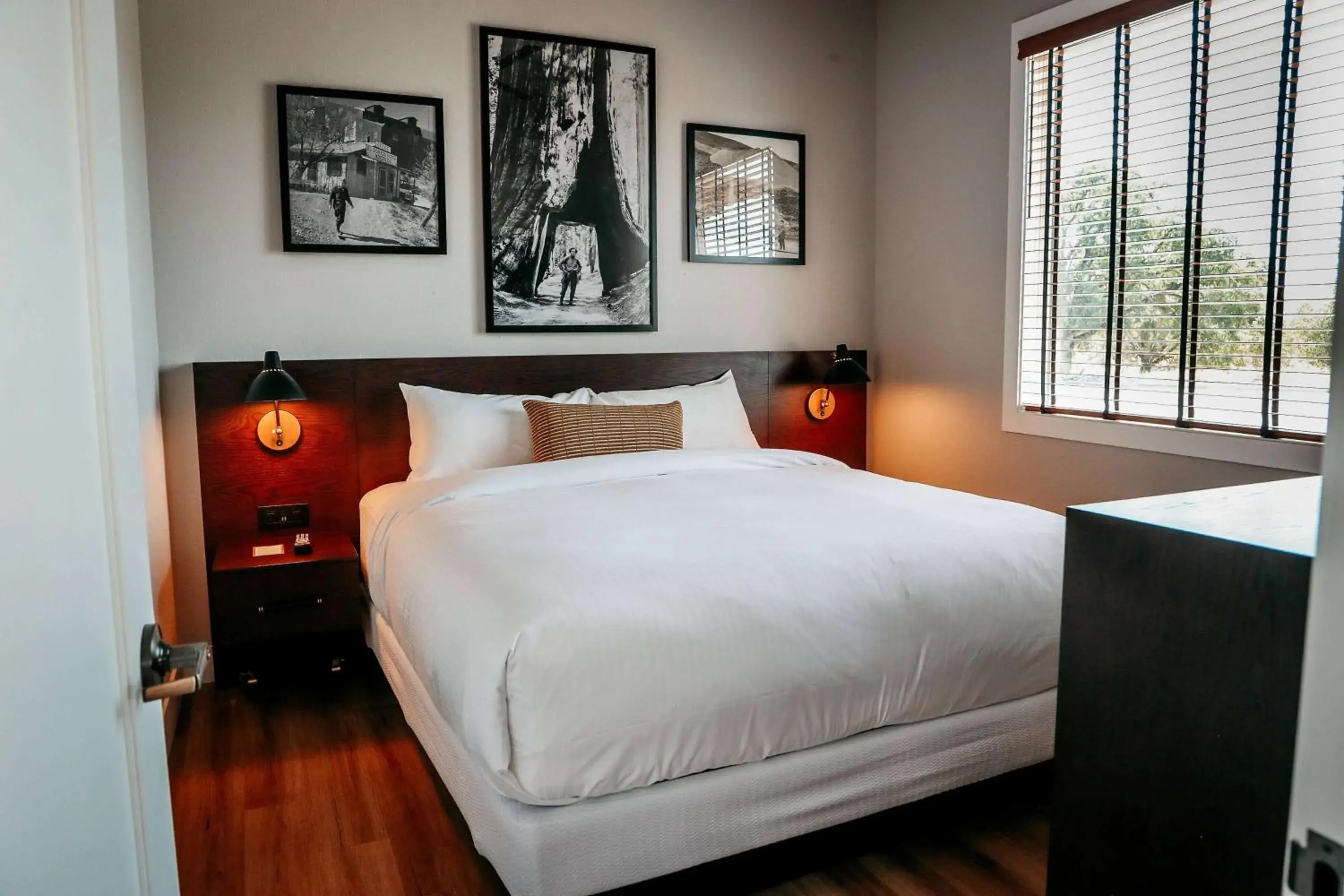 Photo of the whole room, Bed in Gateway Hotel, Trademark Collection by Wyndham Photo of the whole room, Bed in Gateway Hotel, Trademark Collection by Wyndham