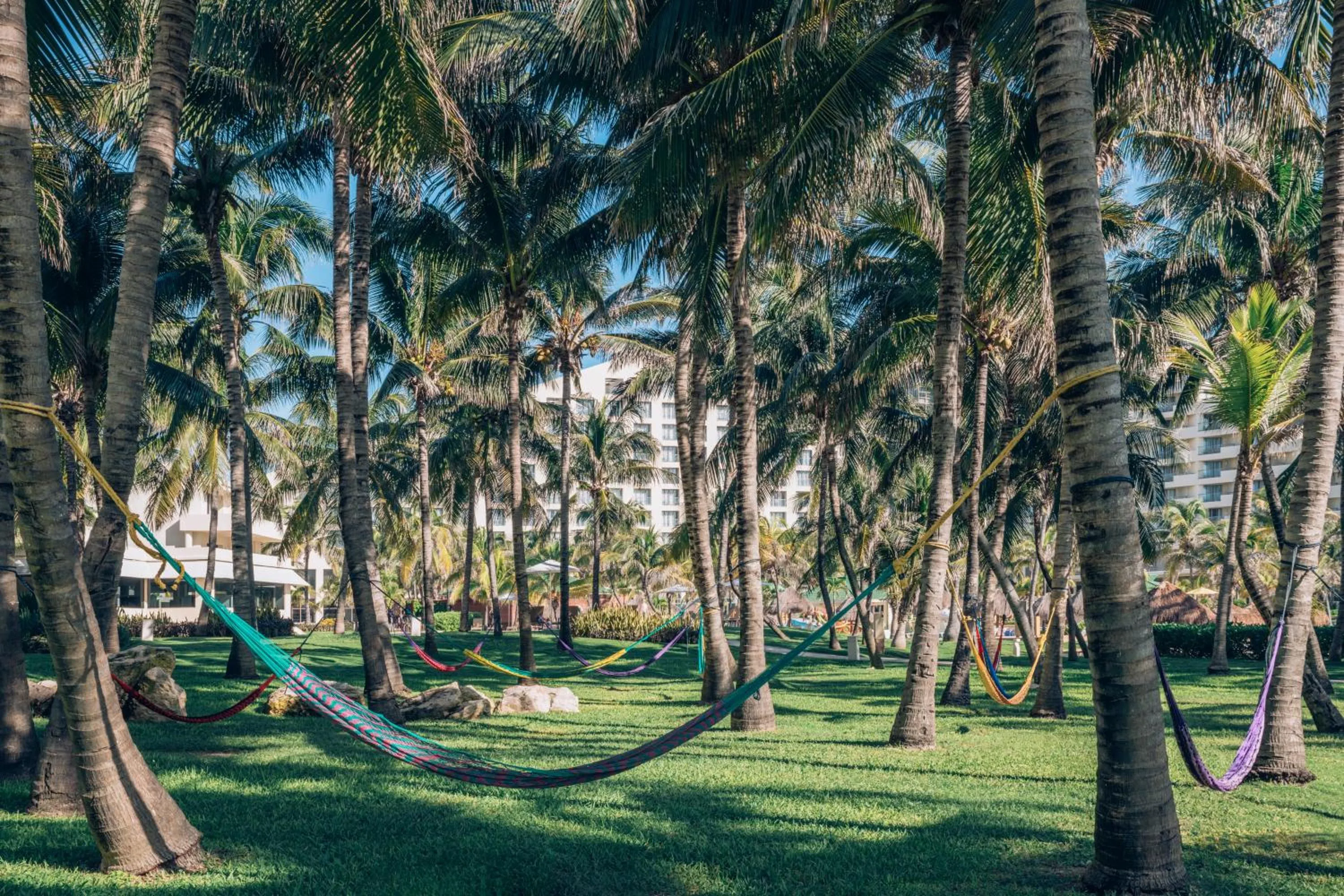 Garden in Iberostar Selection Cancun - All Inclusive