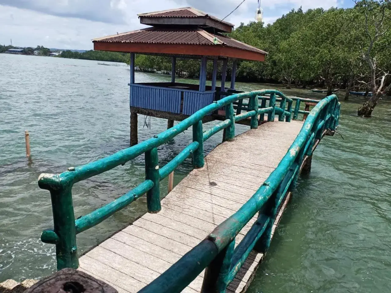 View (from property/room) in RedDoorz Plus @ Costa Roca Balamban View (from property/room) in RedDoorz Plus @ Costa Roca Balamban