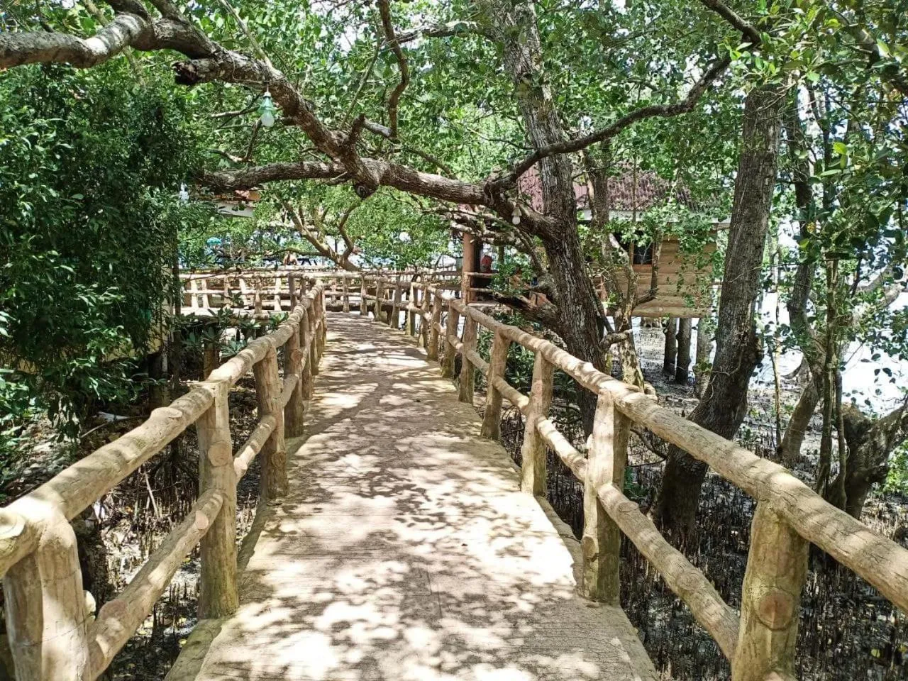 View (from property/room) in RedDoorz Plus @ Costa Roca Balamban