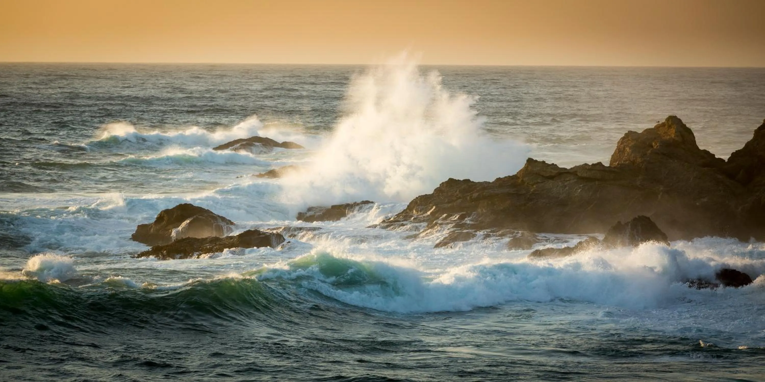 Natural landscape in Heritage House Resort & Spa