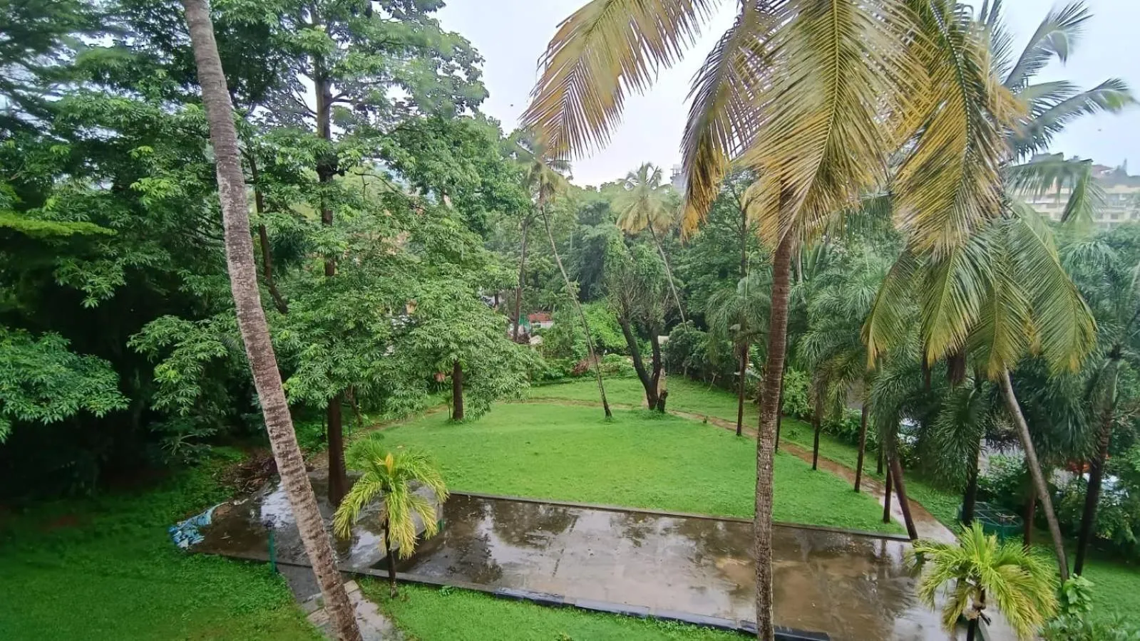 Natural landscape in Golden Landmark Green Valley Beach Resort