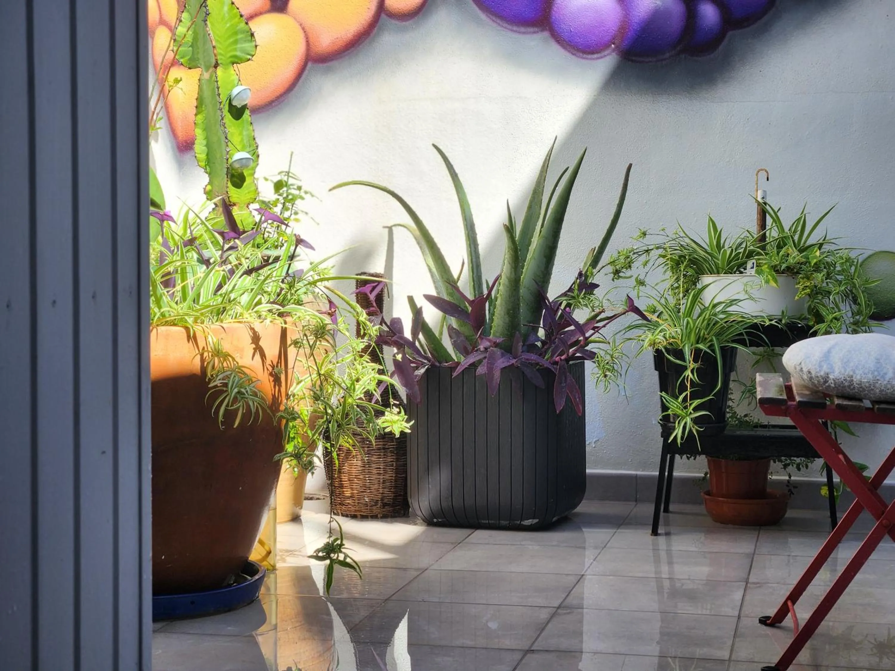 Patio in Salvia BnB, Habitaciones con Banos Privados