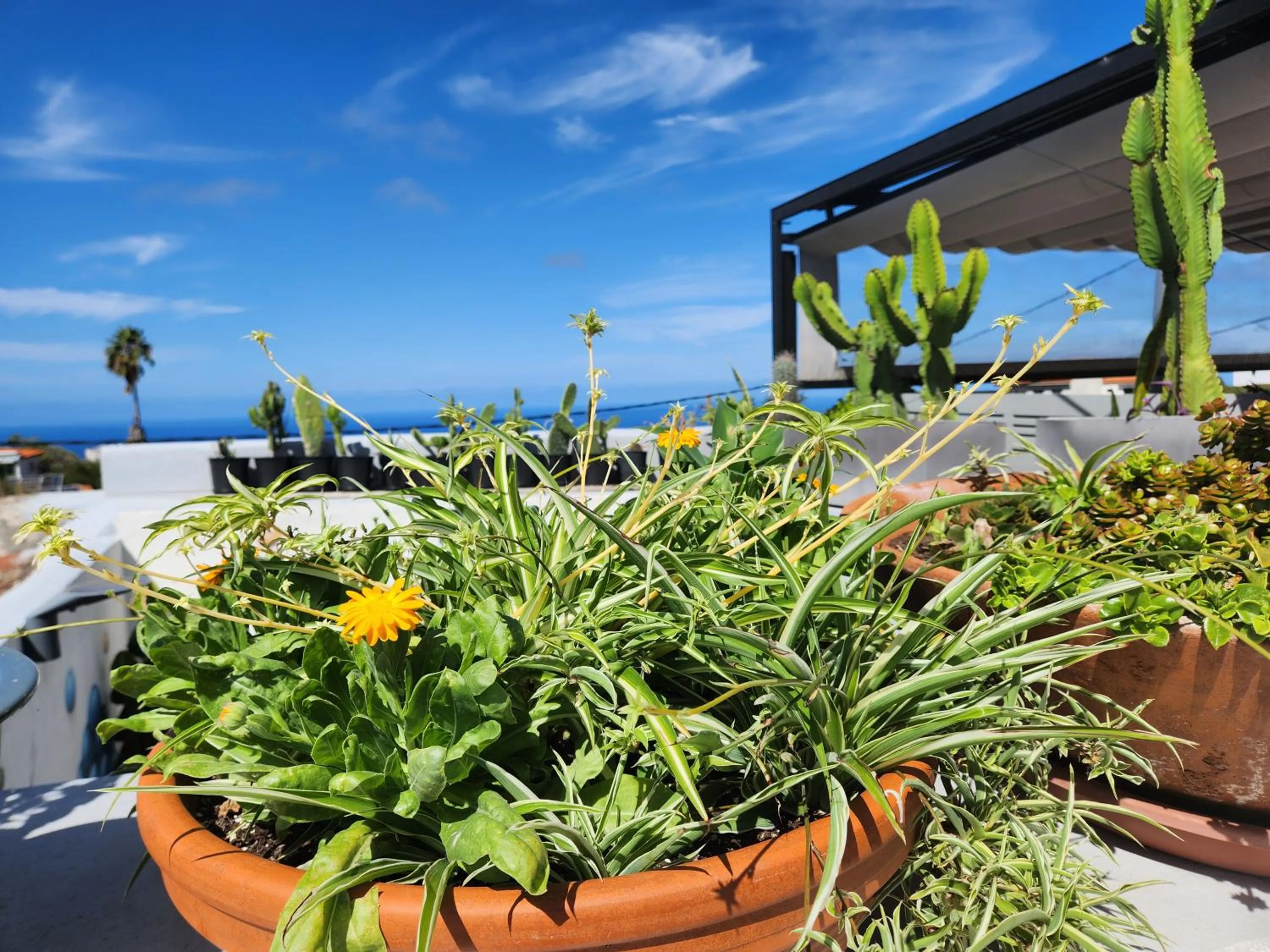 Natural landscape in Salvia BnB, Habitaciones con Banos Privados