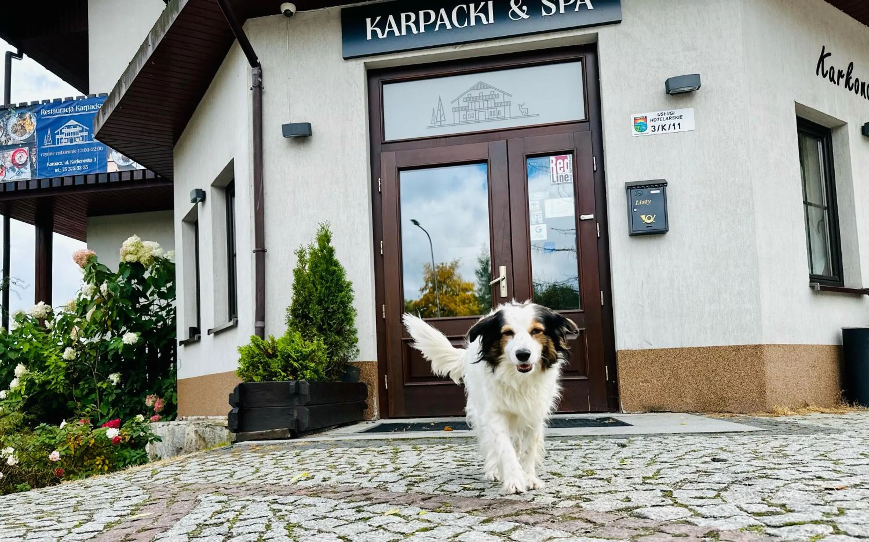 Pets in Karpacki & SPA