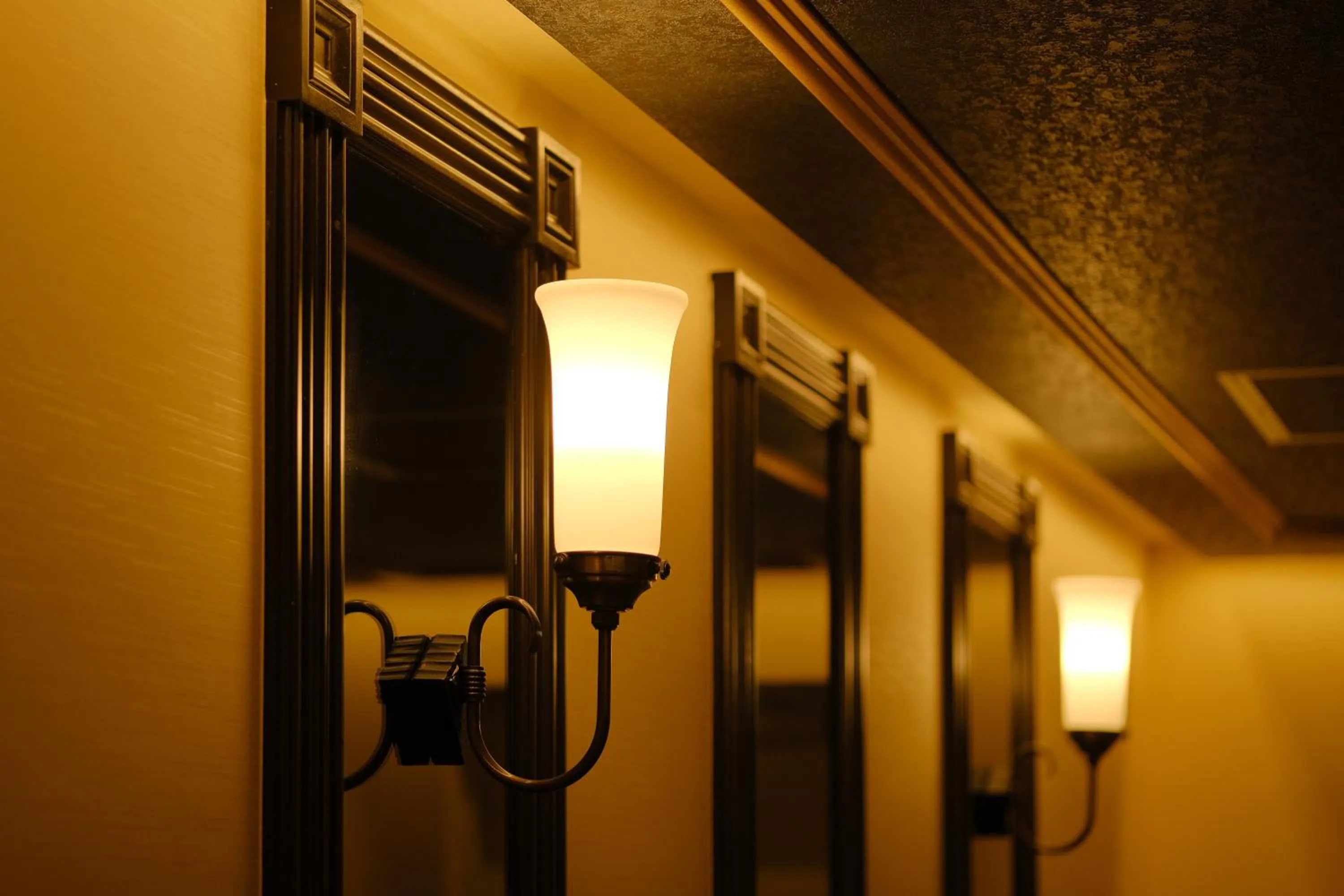 elevator in Four Stories Hotel Maihama Tokyo Bay