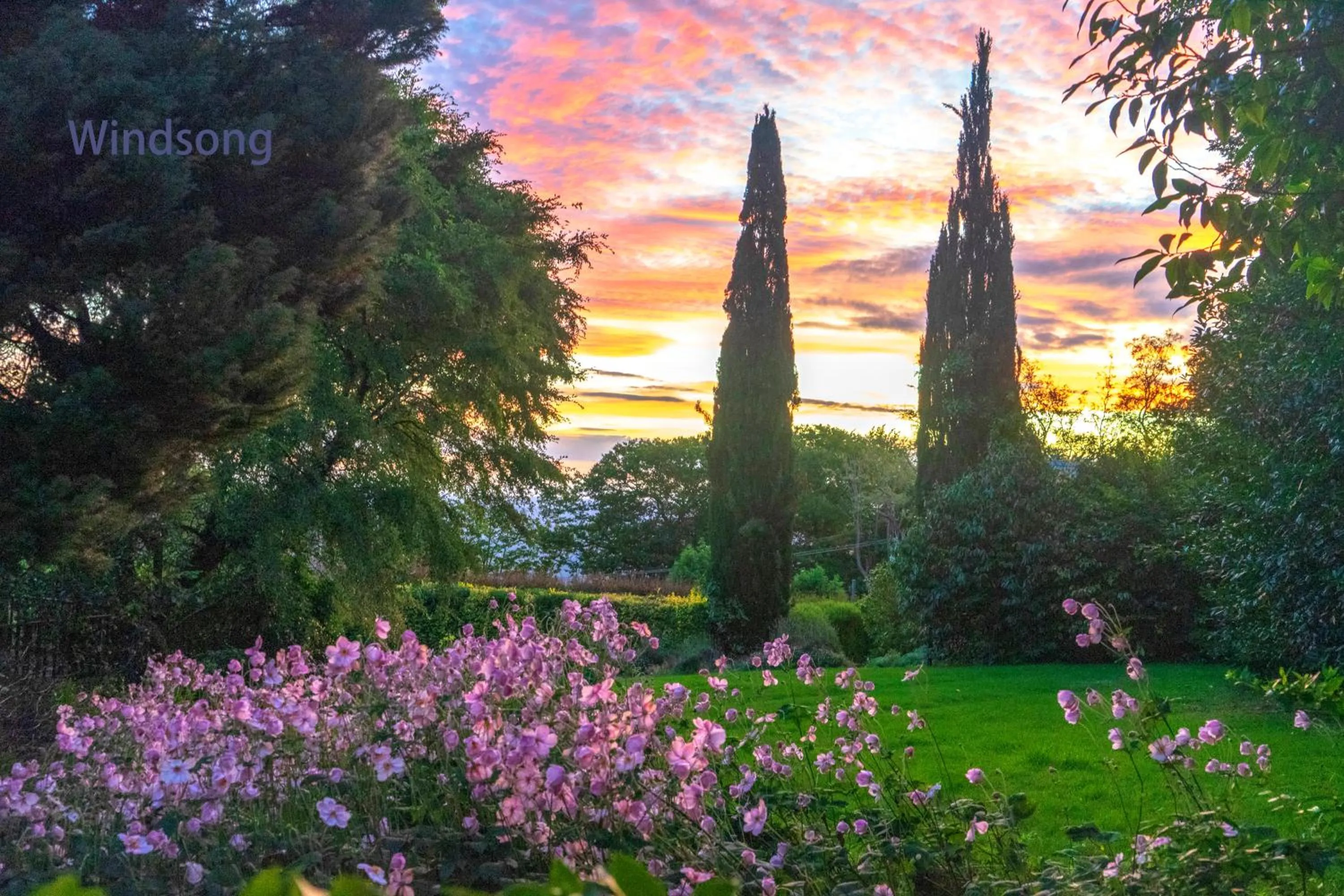 Observatory Cottages