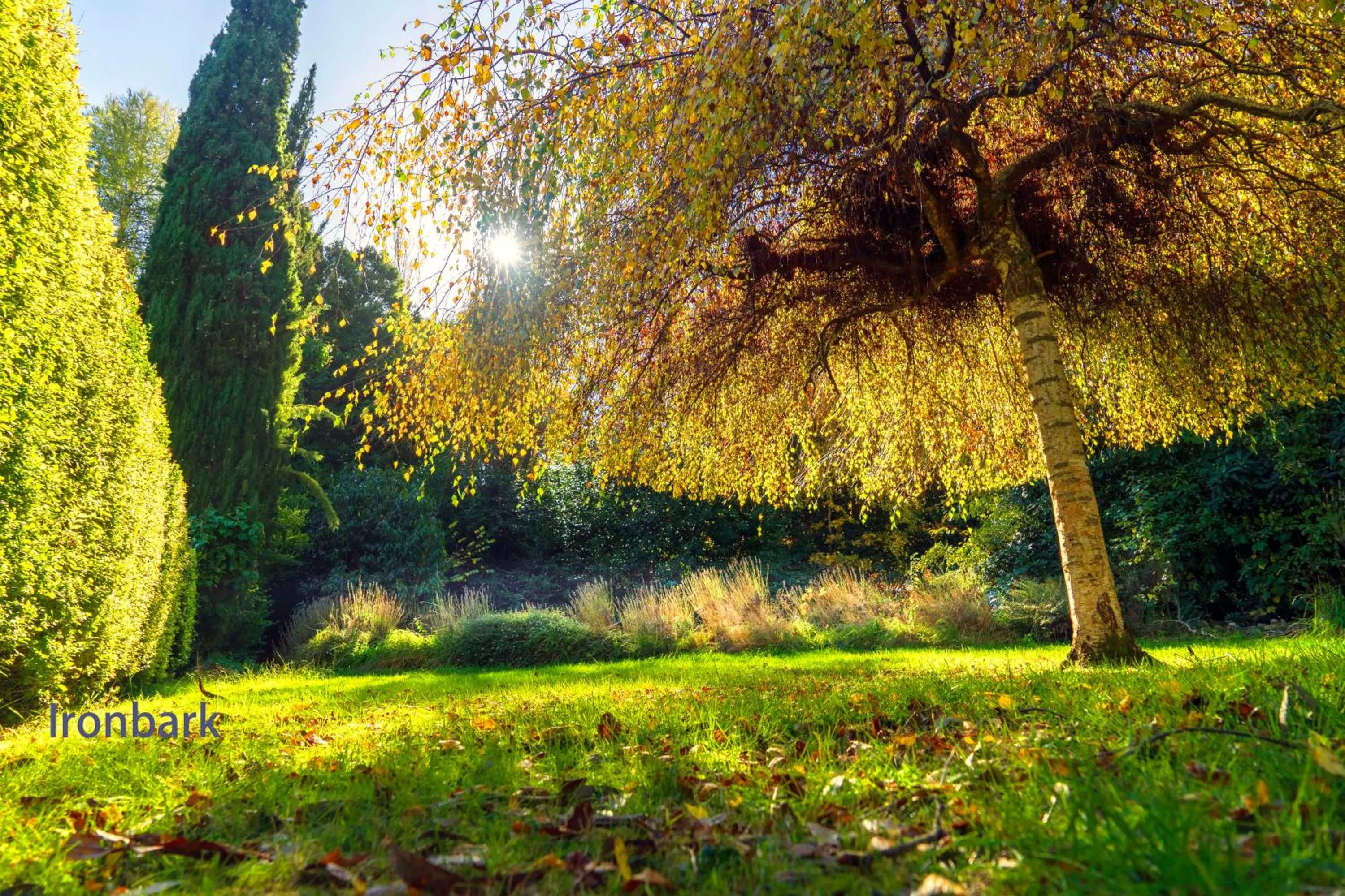 Observatory Cottages