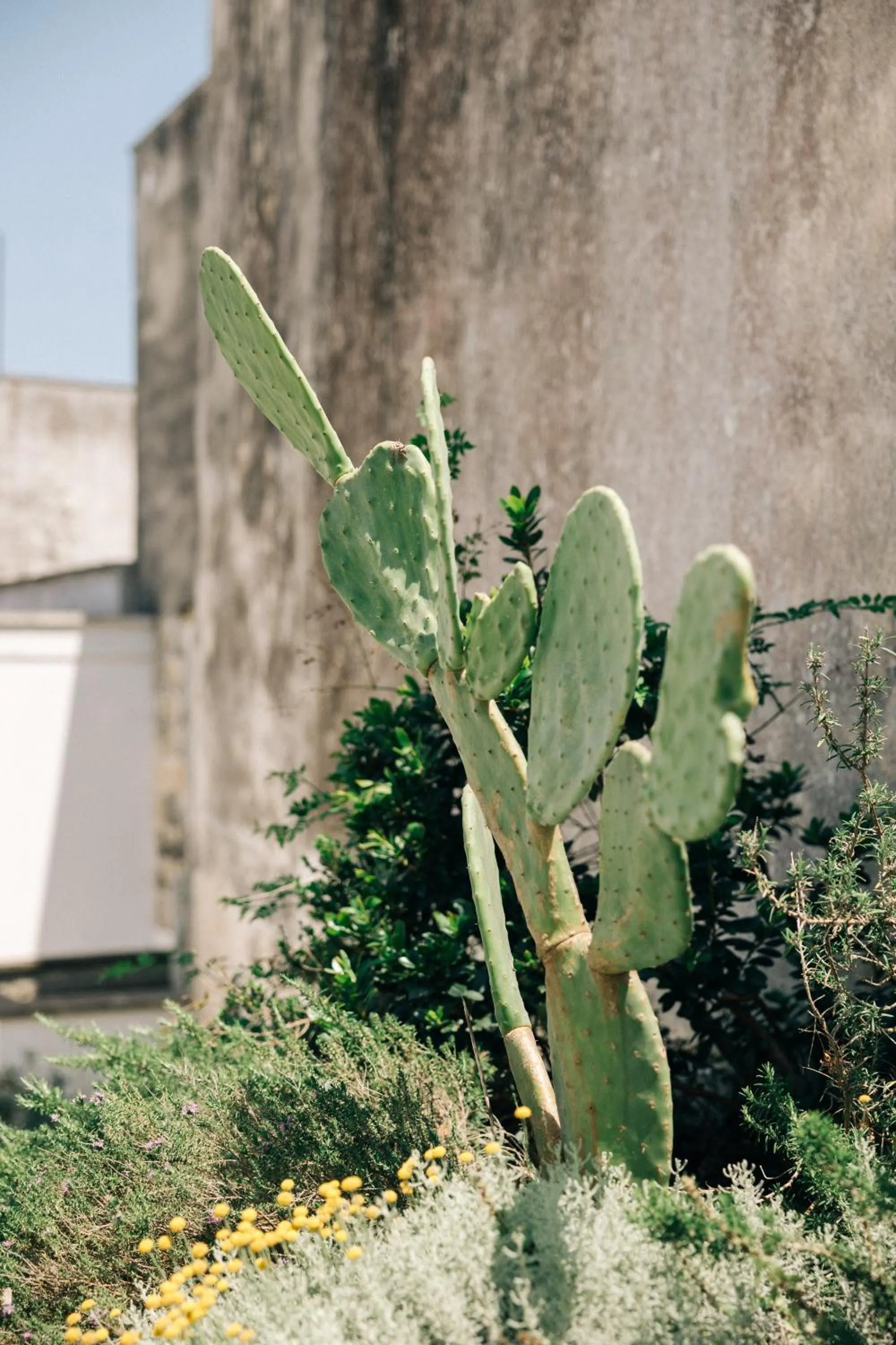 Decorative detail in Corte Manfredi