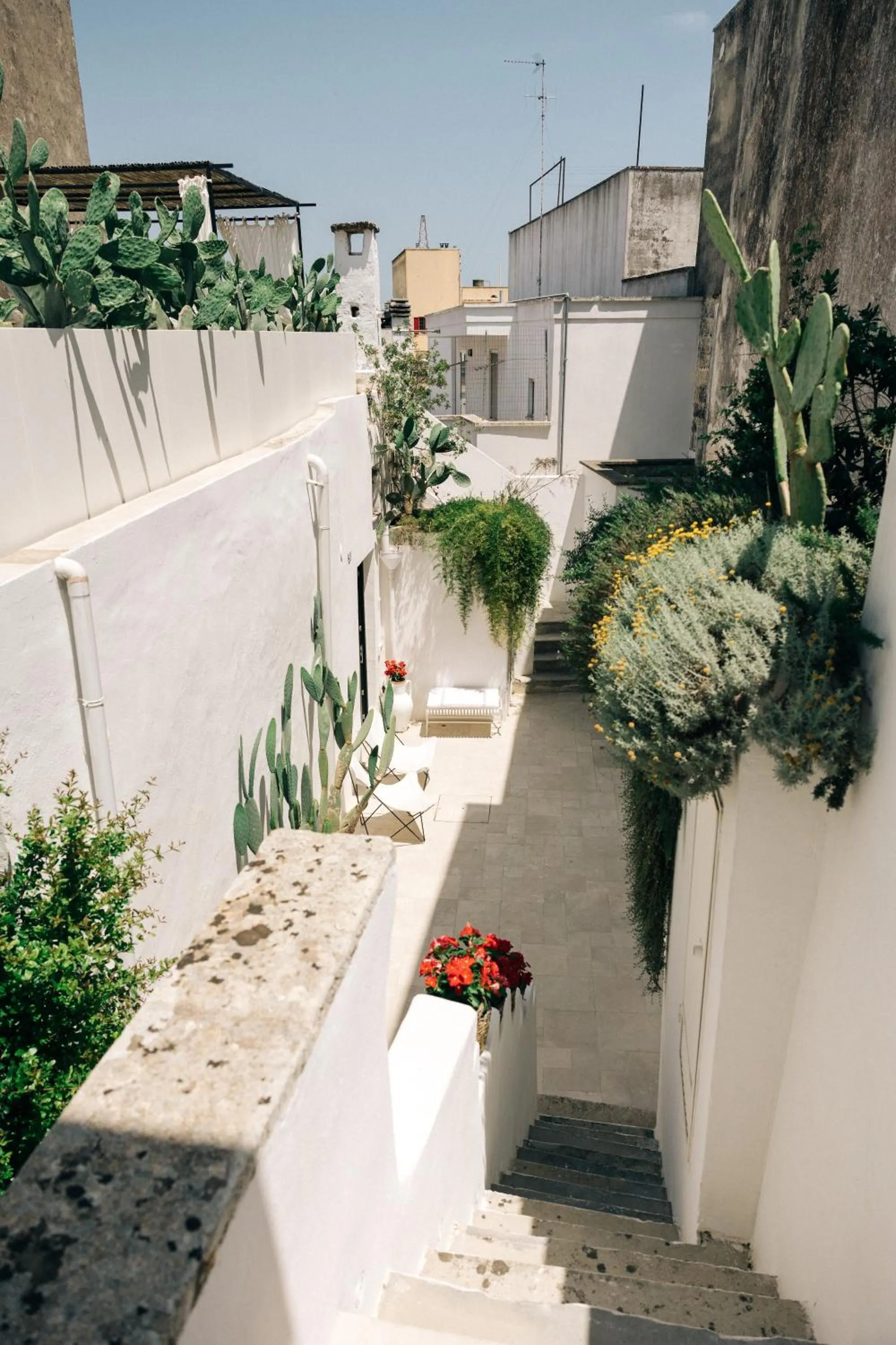 Patio in Corte Manfredi