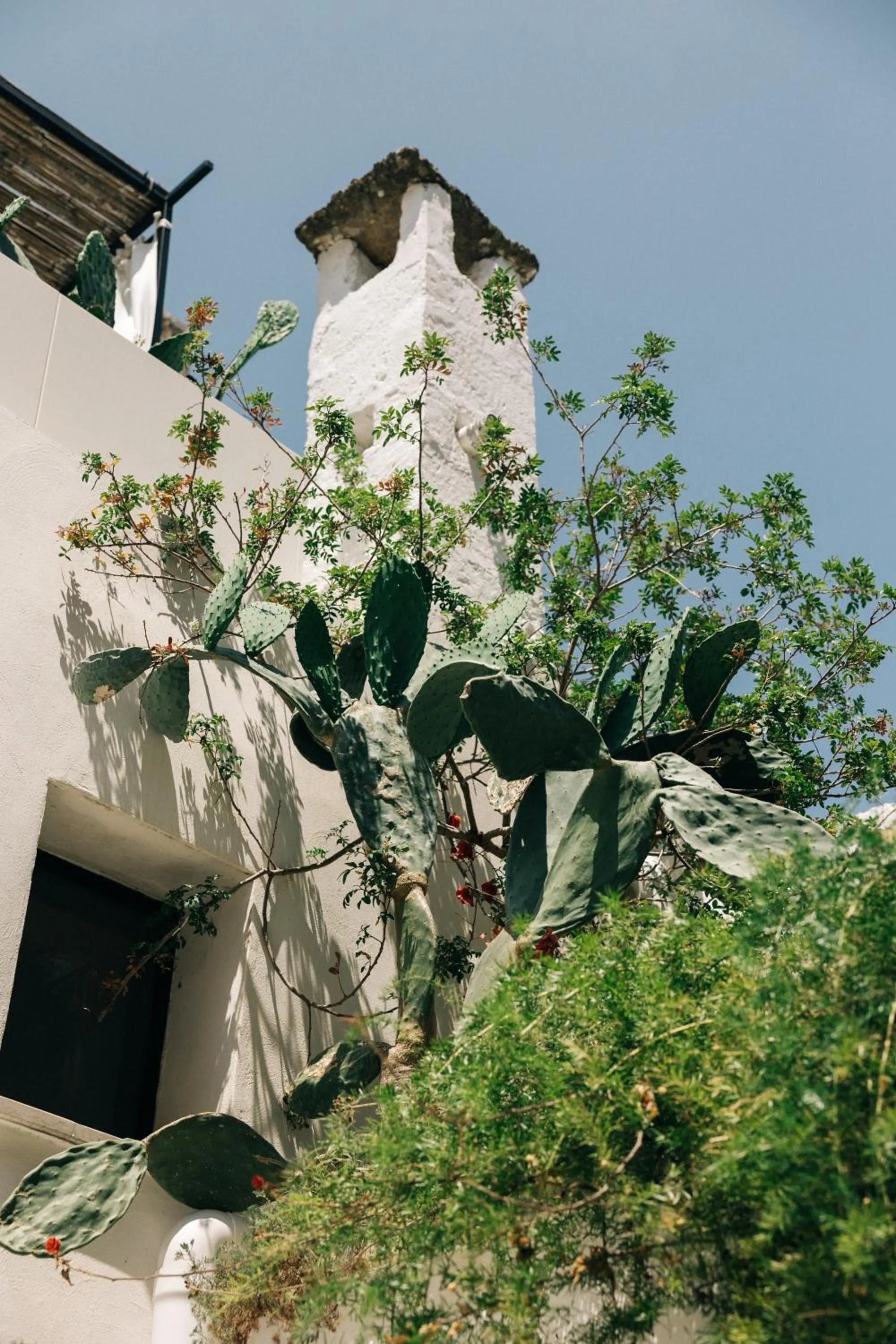 Property building in Corte Manfredi