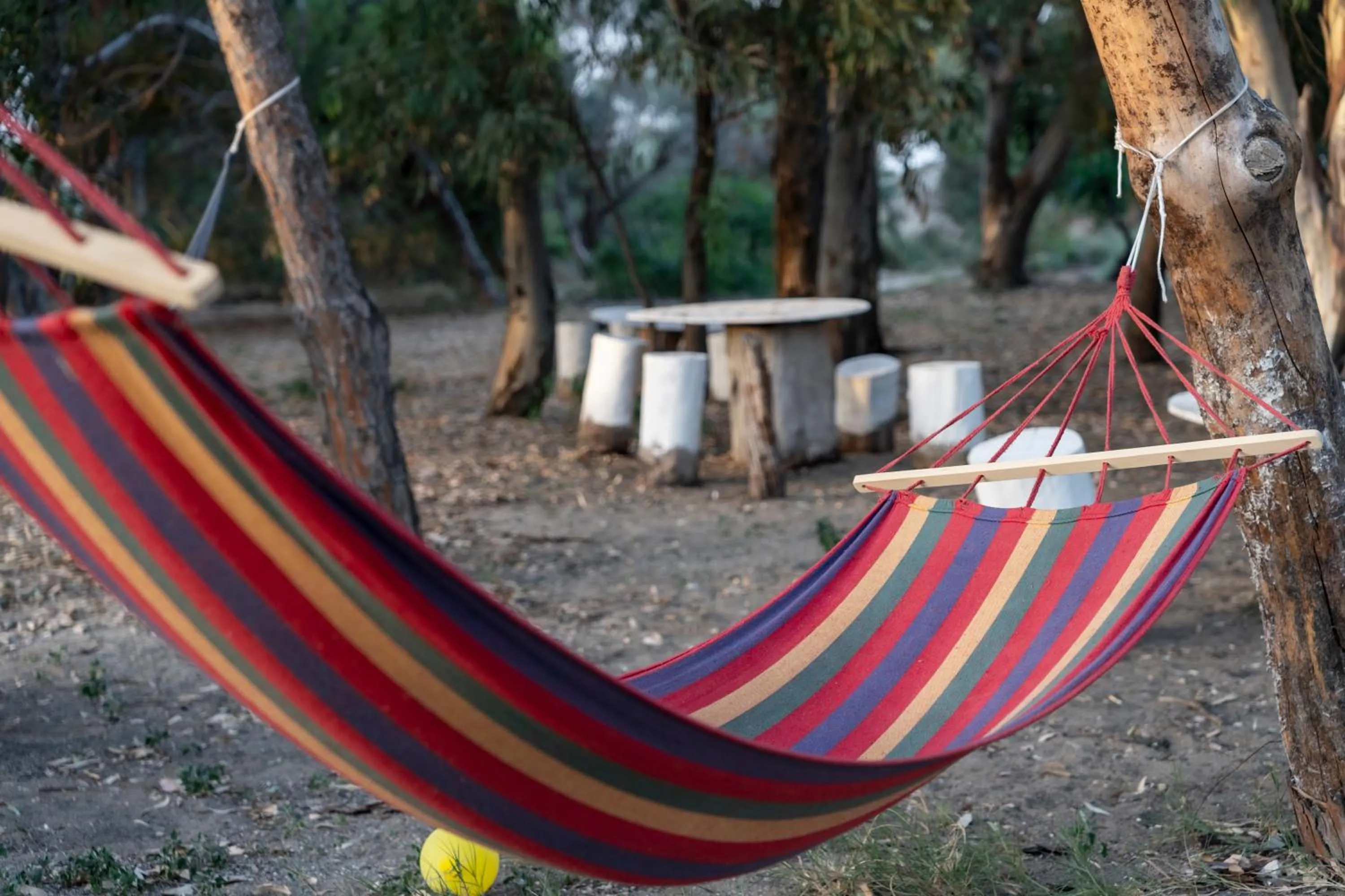 Mg Palace Hotel Costa del Sole