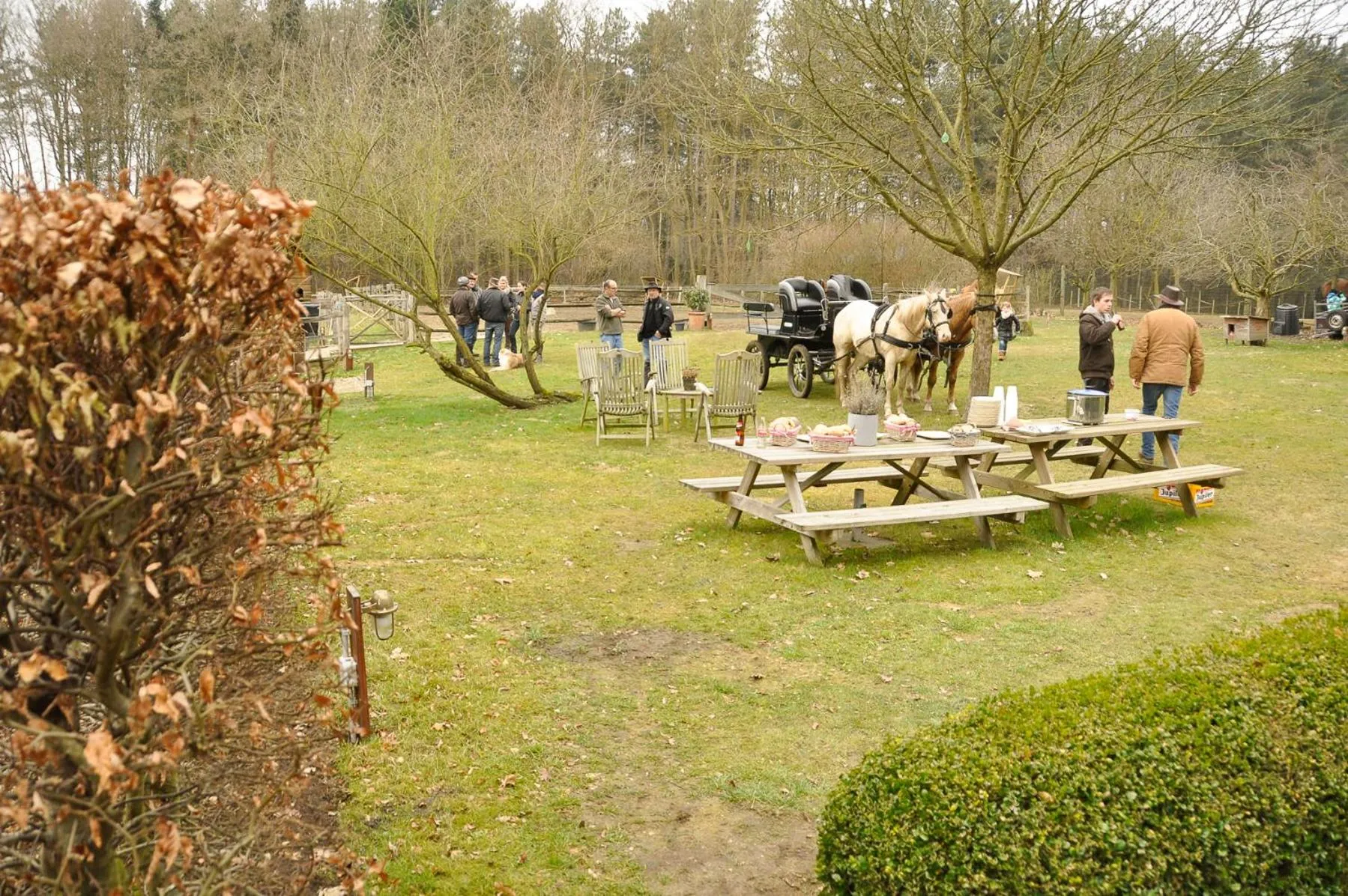 B&B Zinnen en Minnen