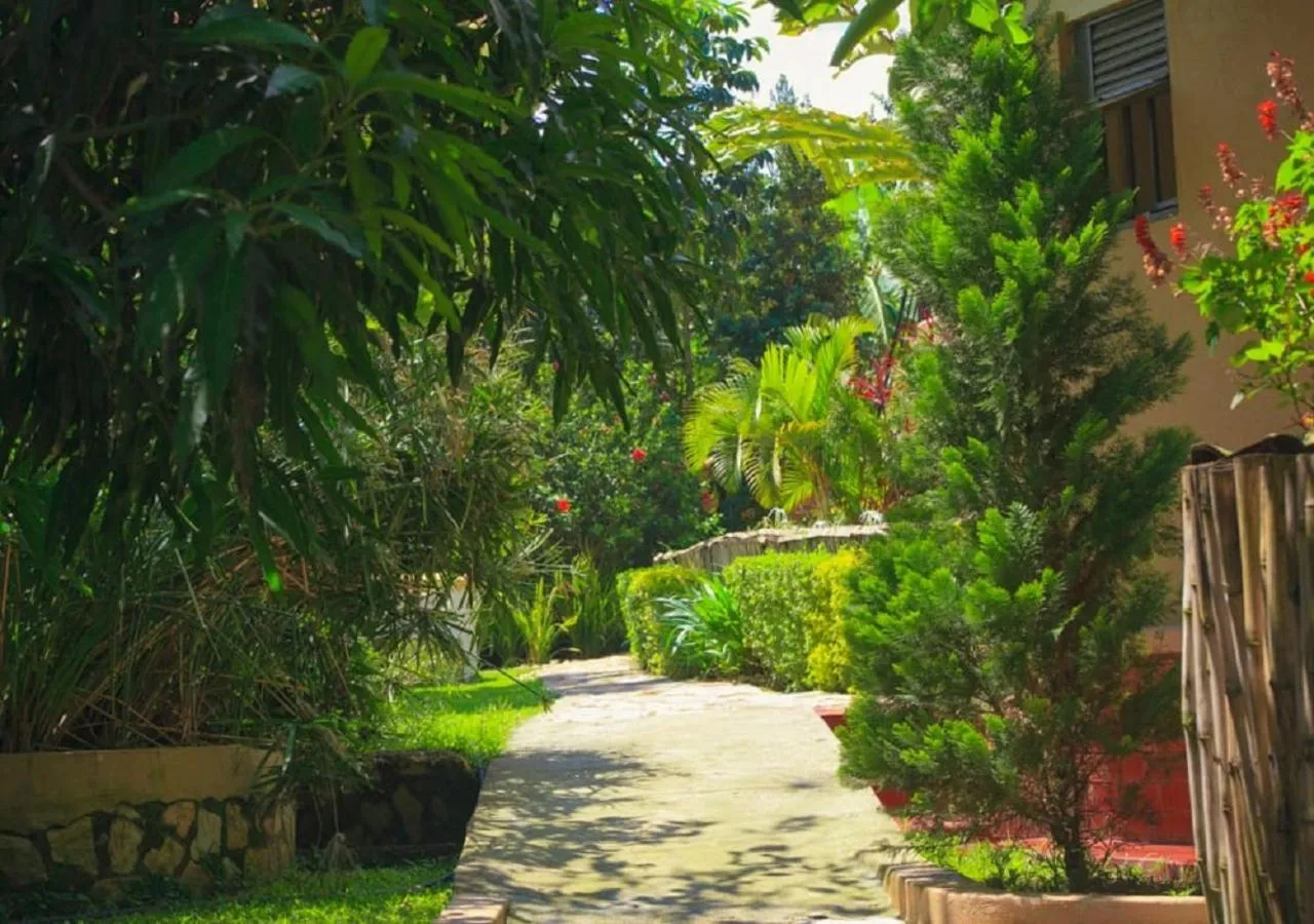 Property building in Montane Safaris Hotel