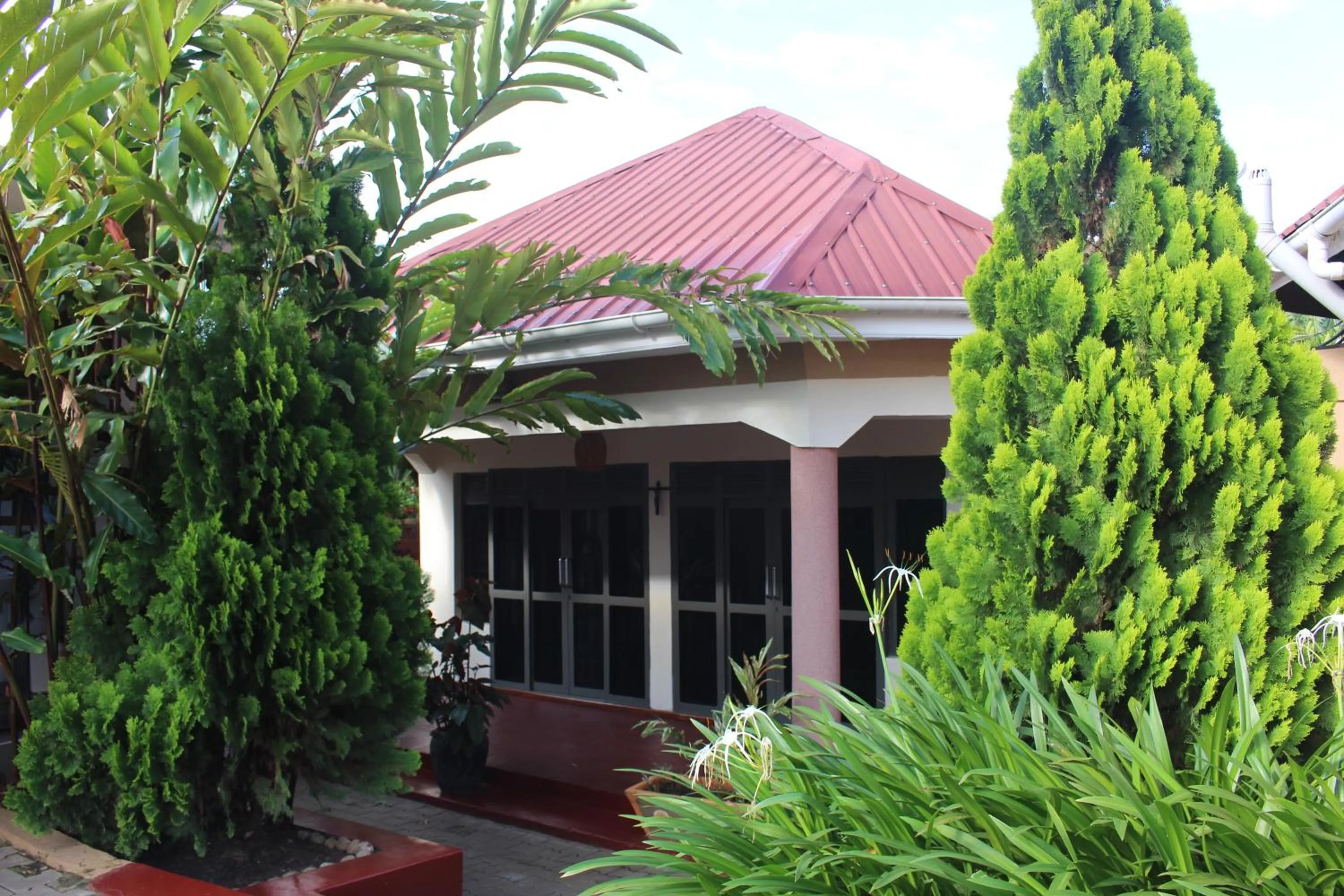 Property building in Montane Safaris Hotel