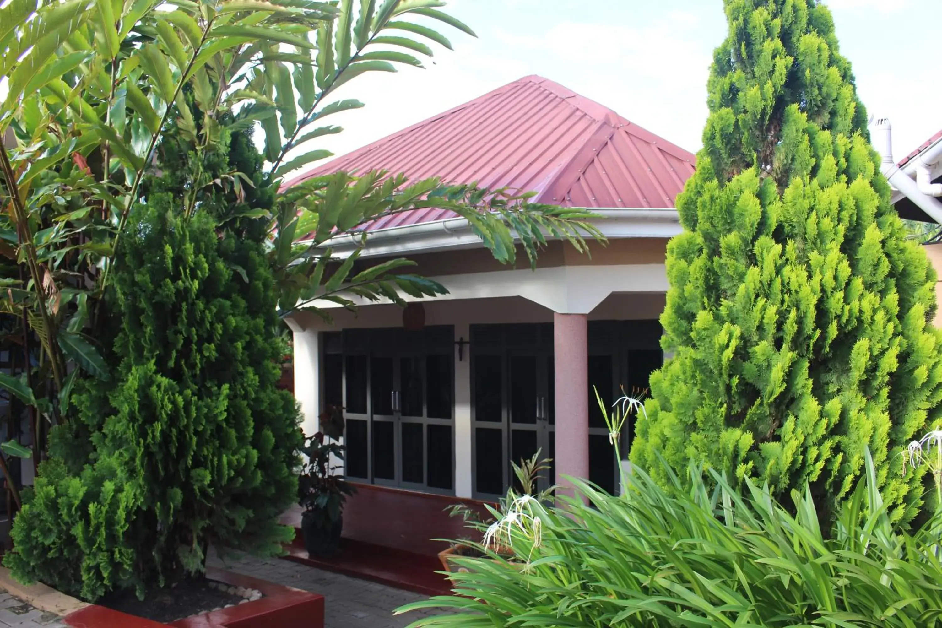 Montane Safaris Hotel Montane Safaris Hotel