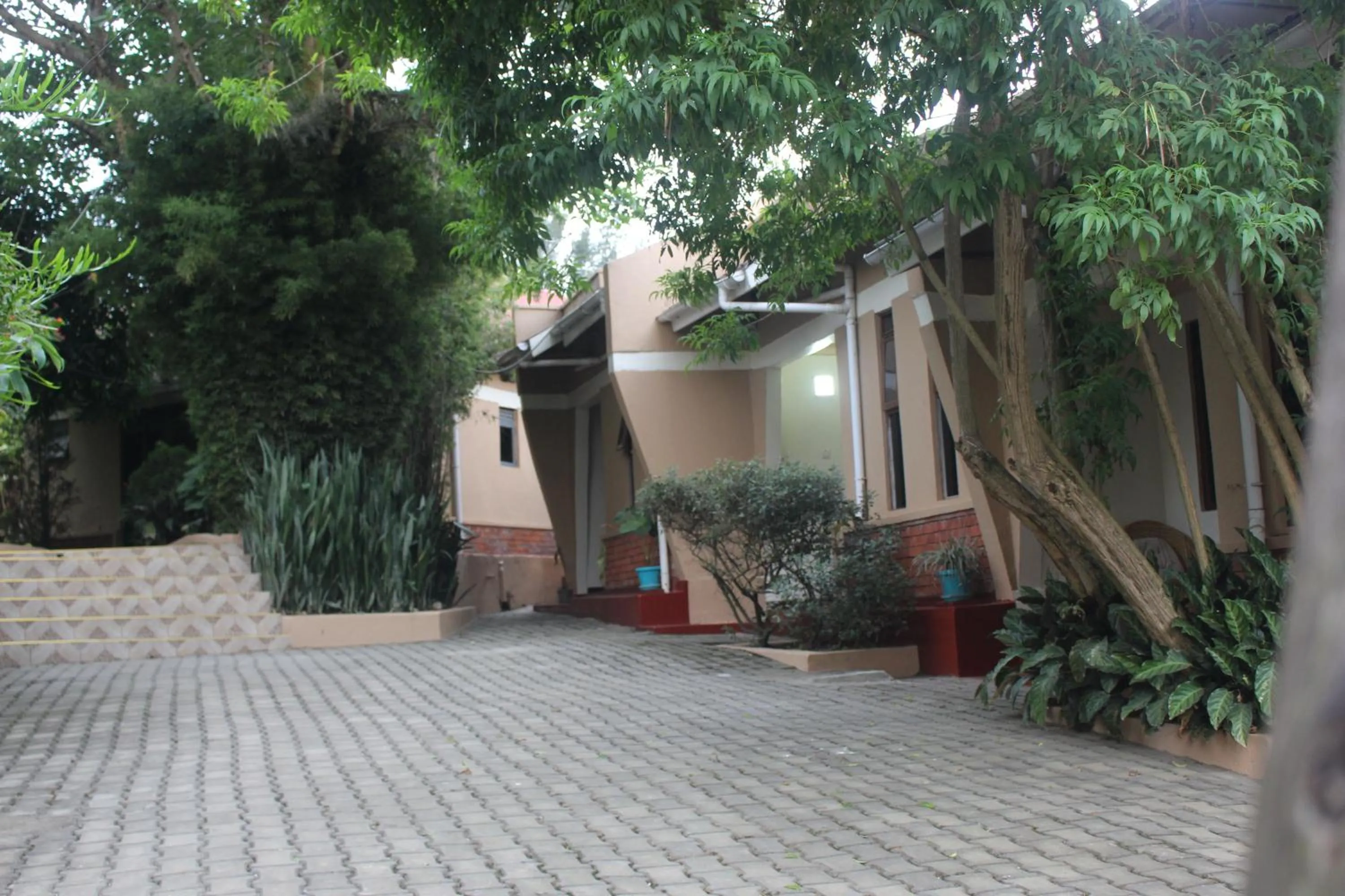 Property building in Montane Safaris Hotel