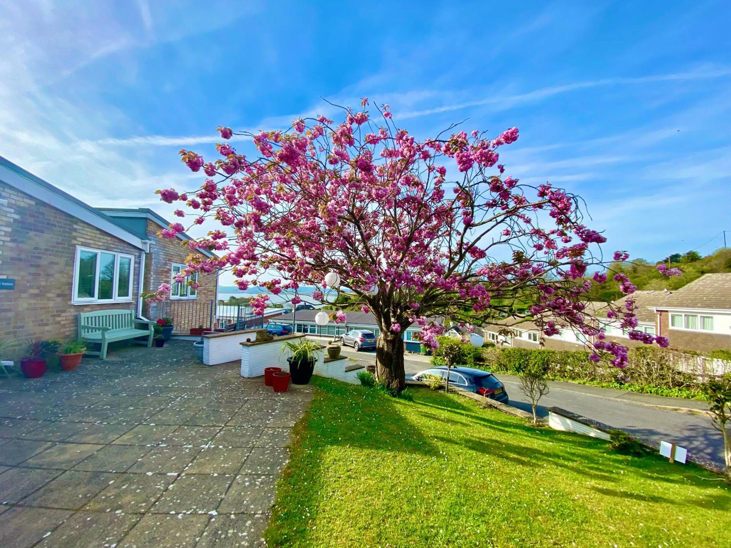 Garden view in Tŷ Treflan