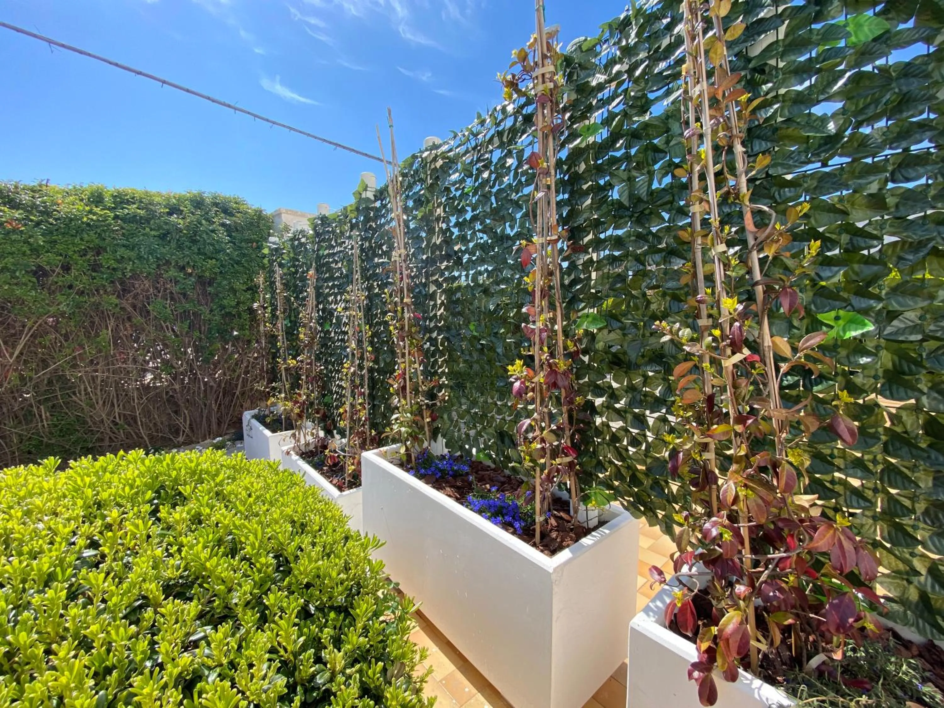 Garden in AFFITTACAMERE PIAZZA MAMELI