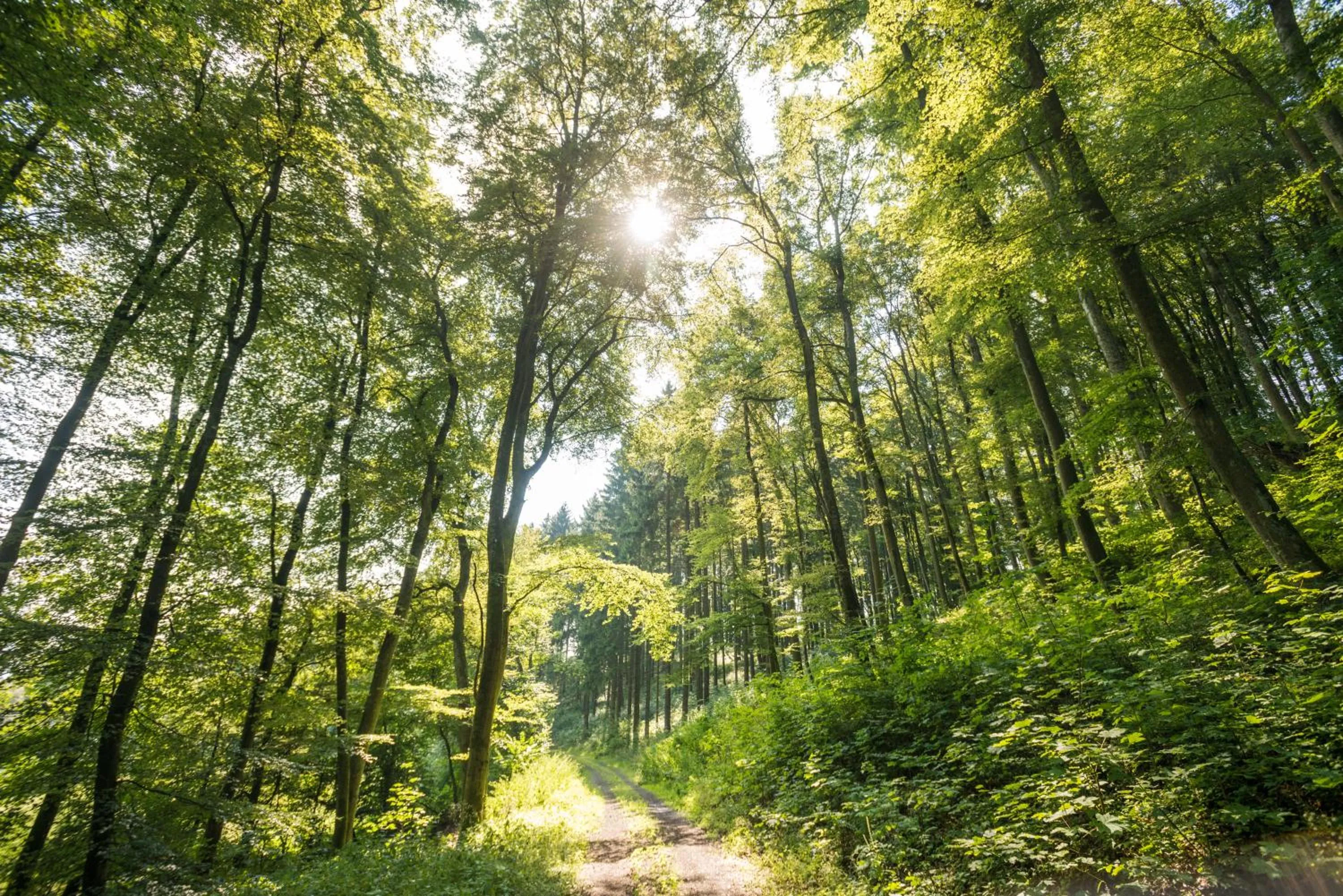 Area and facilities in Brauers Landarthotel GmbH
