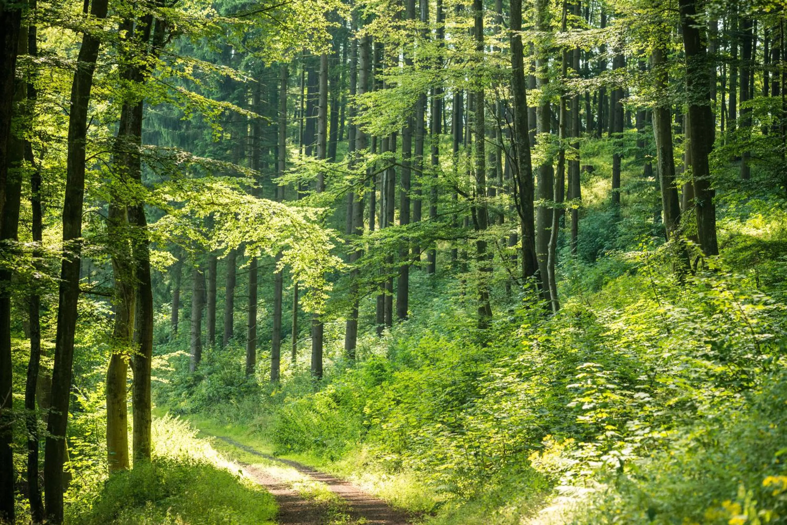 Area and facilities in Brauers Landarthotel GmbH