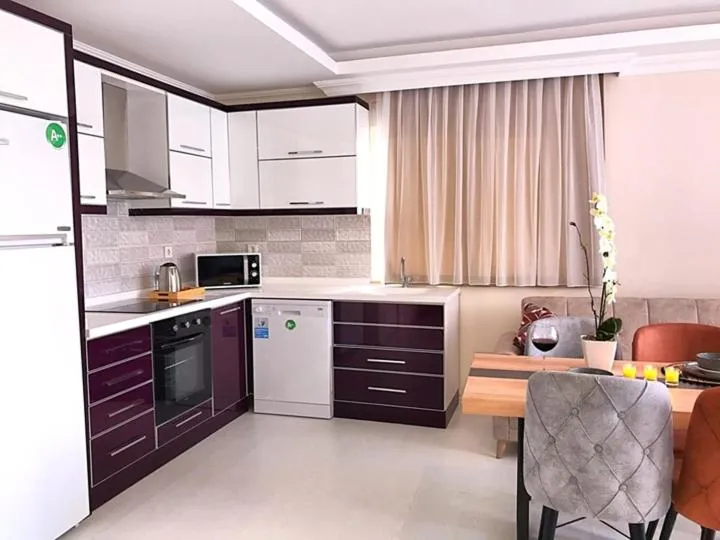 Kitchen or kitchenette in Alfa Apart Hotel